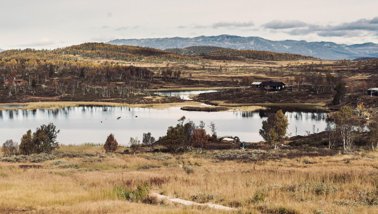 utsikt over Hardangervidda