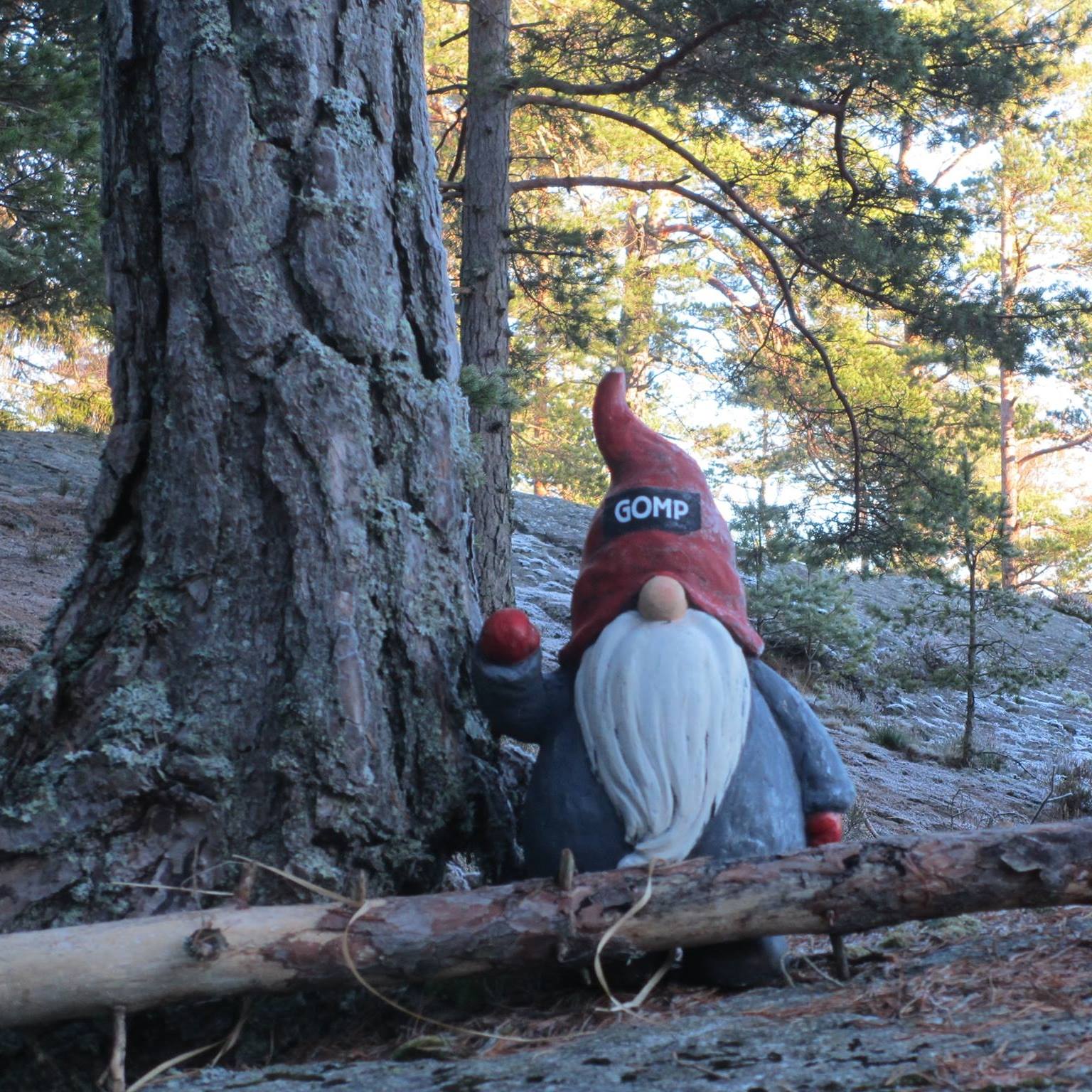 Nisse i Trollstien