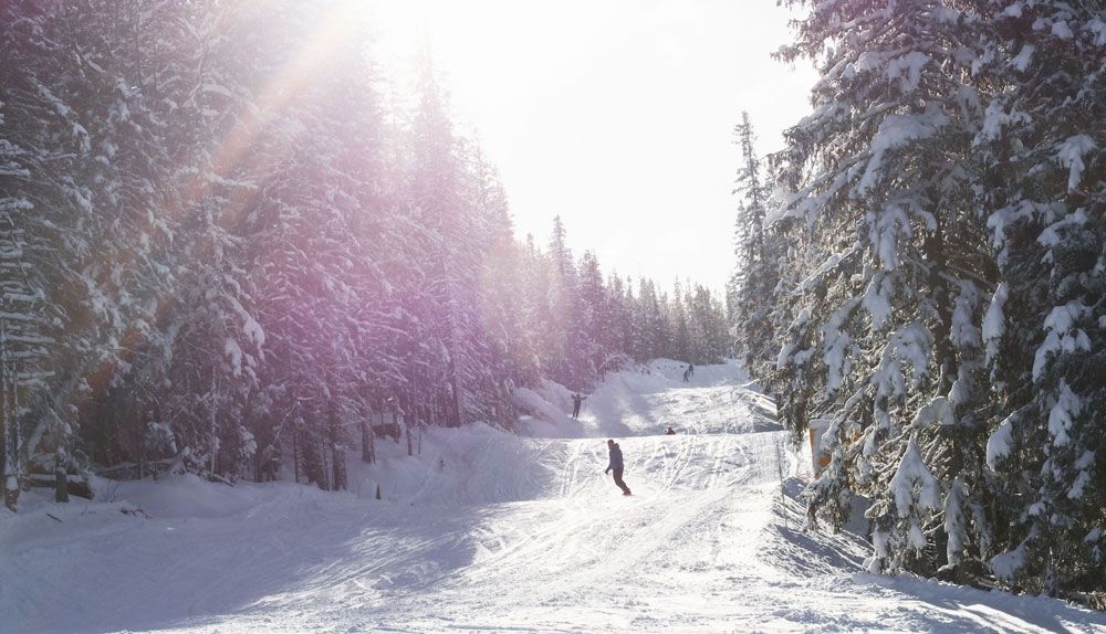 nedfart på Gausta skisenter gjennom skogen