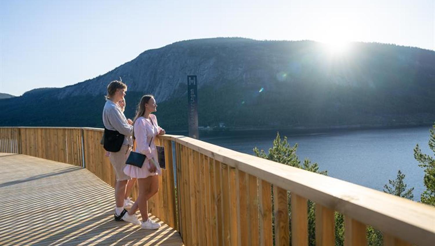 2 ladies enjoy the view from the the tree top walk at Hamaren