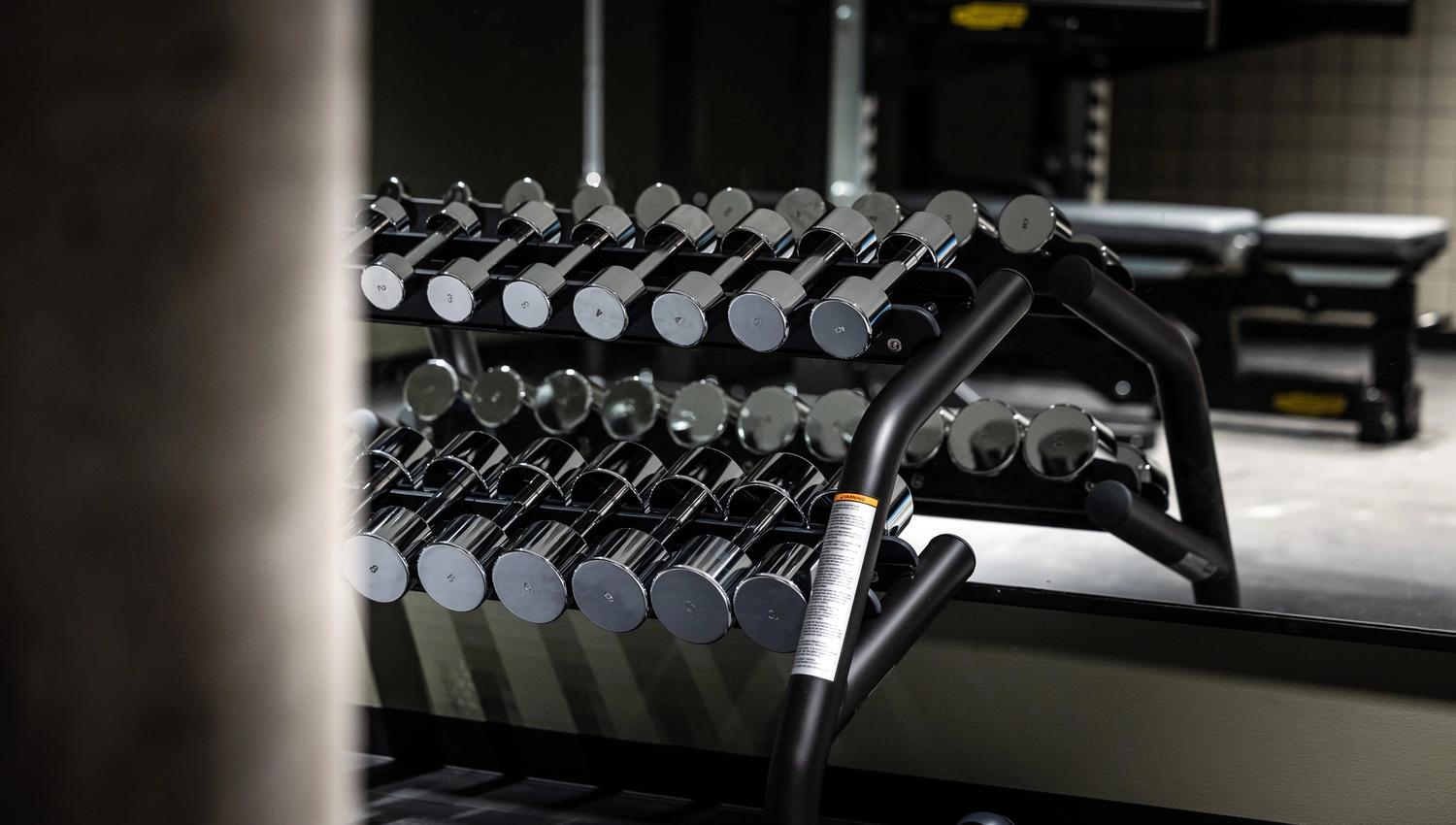 gym-details-weights-quality-hotel-harstad