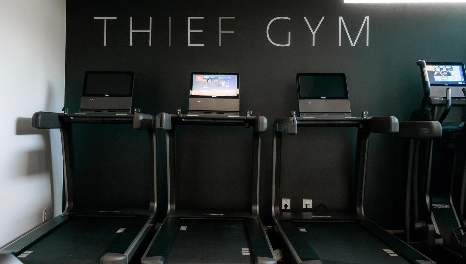 the thief gym