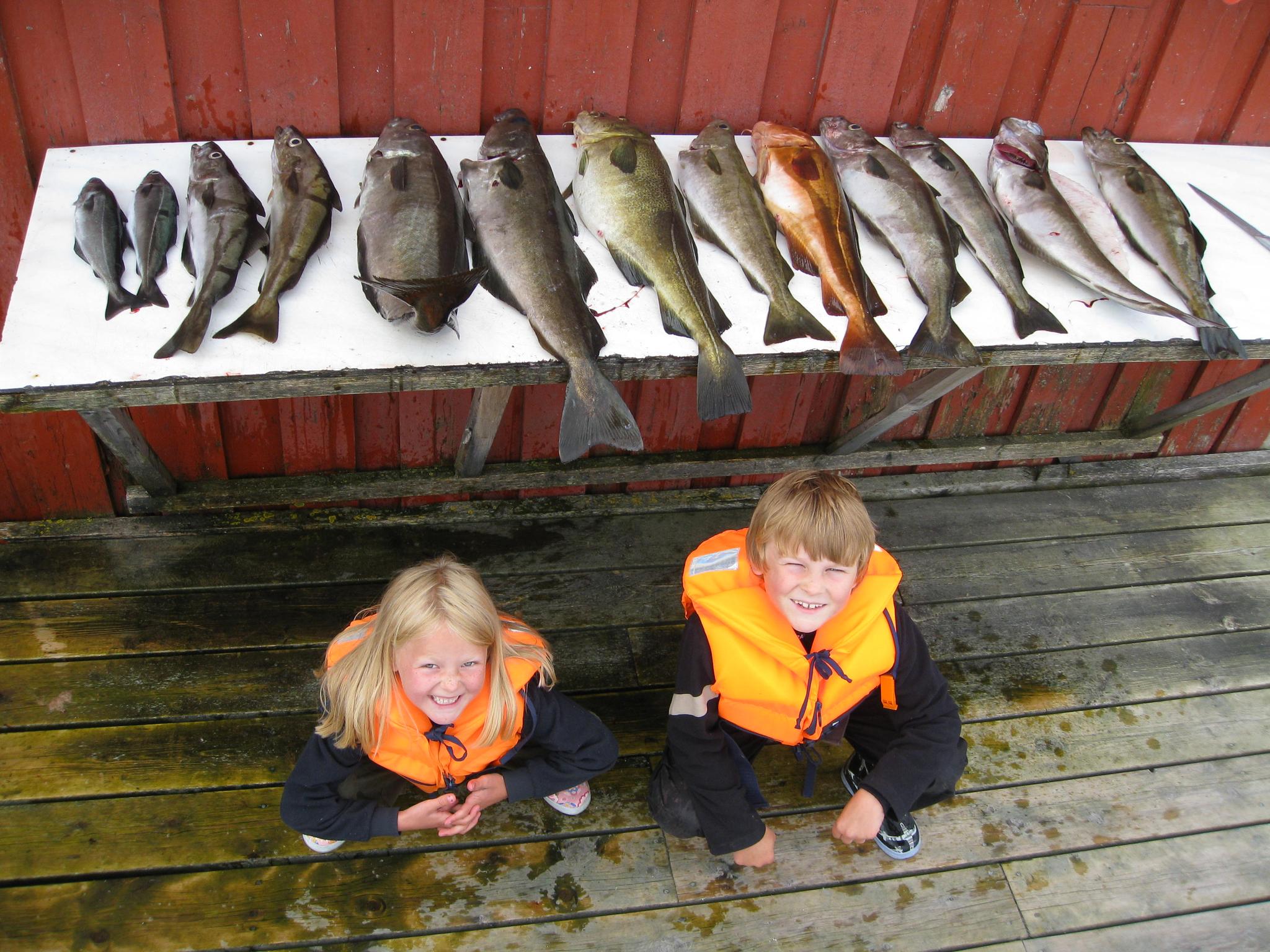 Guided Fishingtour at the Atlantic road - Strømsholmen seasport center