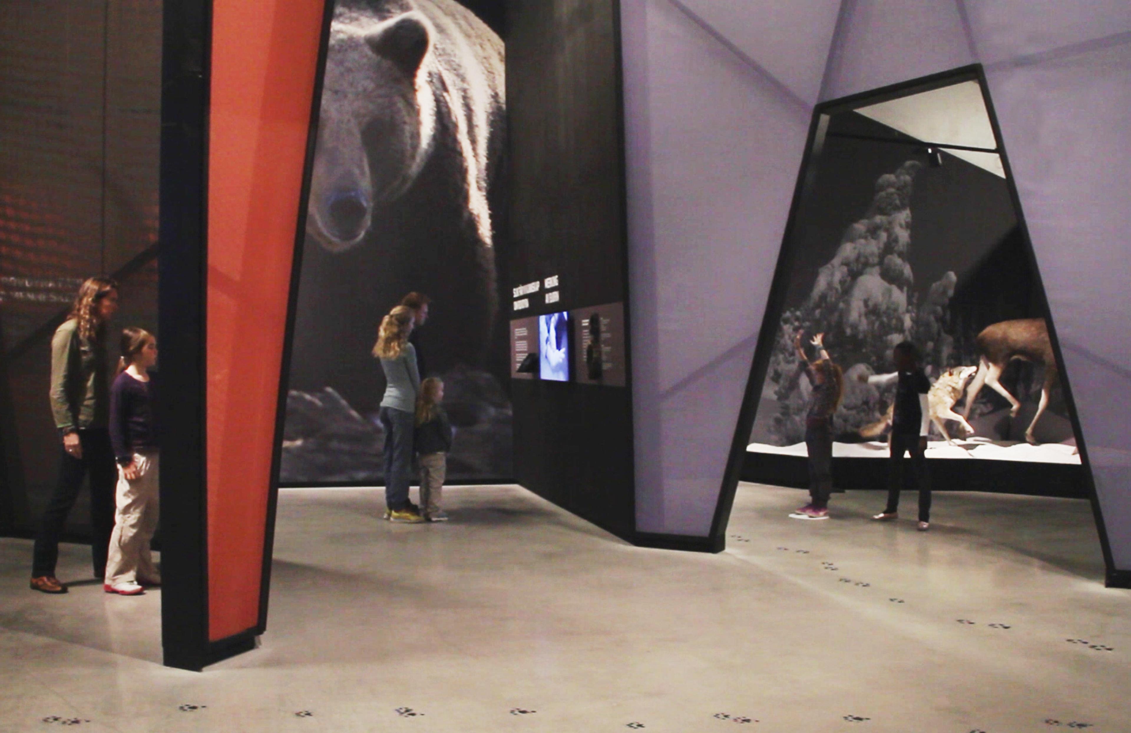 Screenshot 2014-09-22 12.34.22