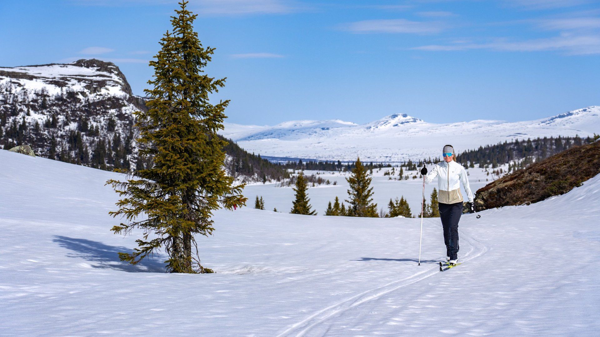 Skier in a majestetic landscape
