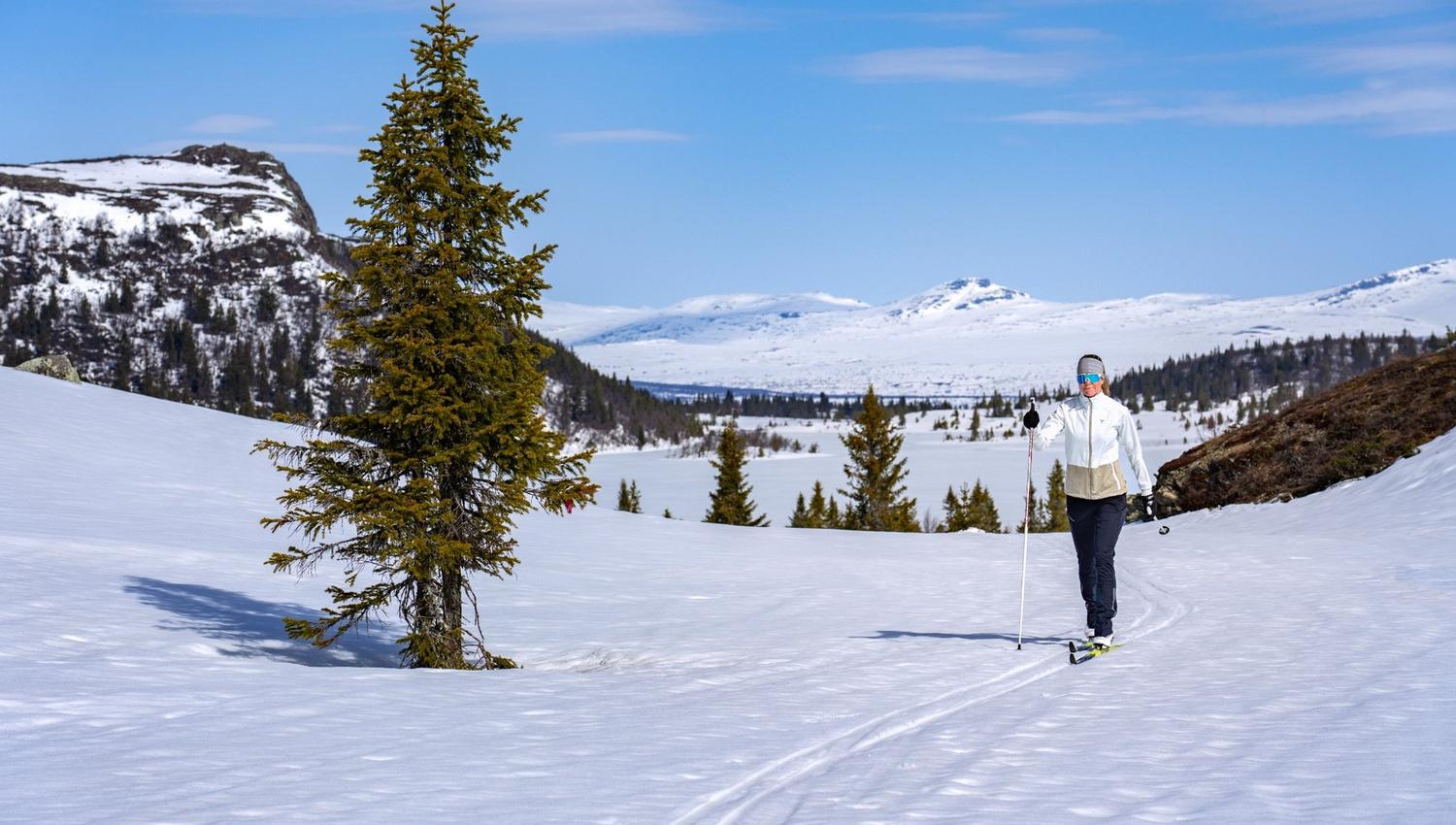 Skier in a majestetic landscape