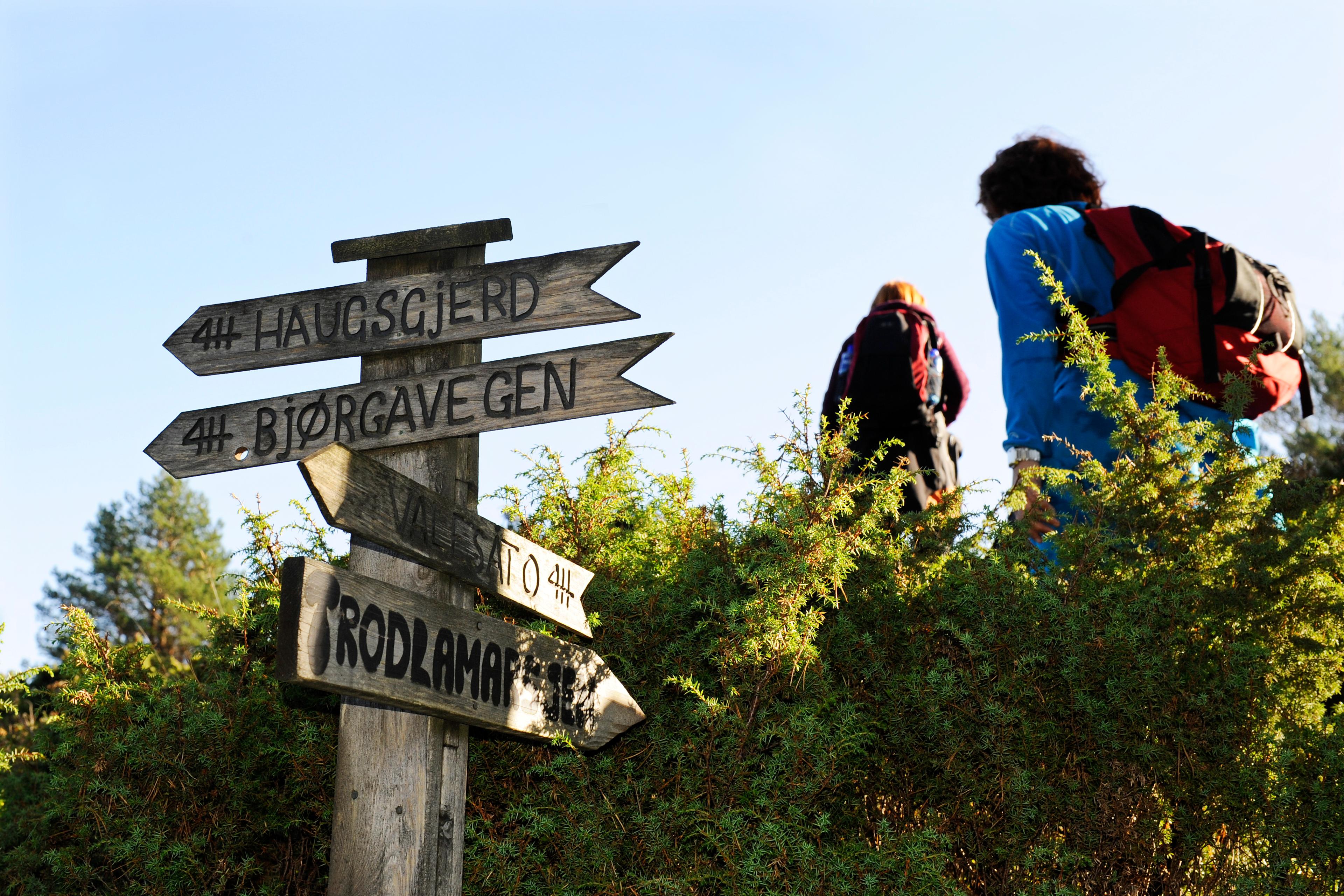 Wanderweg - Trollavassnipen