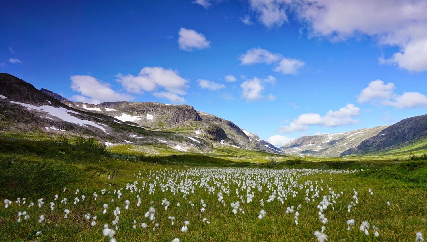 Laupskaret, Børgefjell, foto Kristian Fiskum Nesser