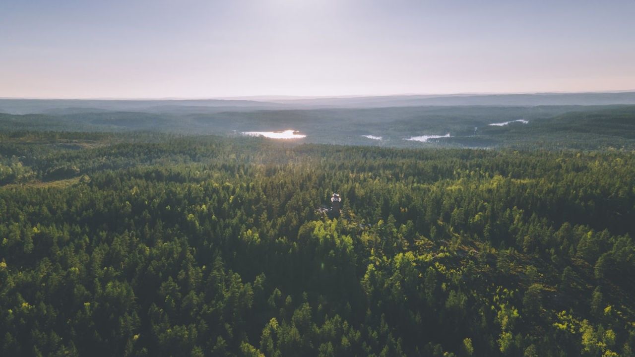 Dronebilde av området