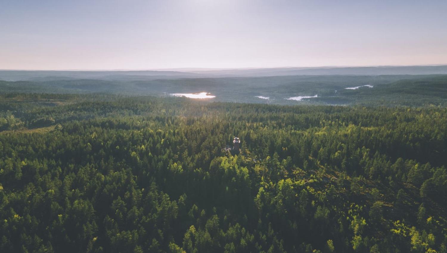 Dronebilde av området