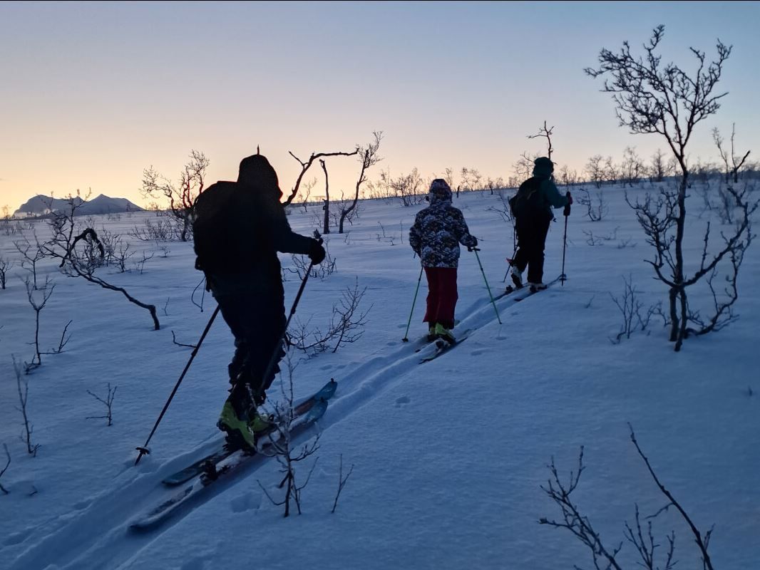 Following the leader