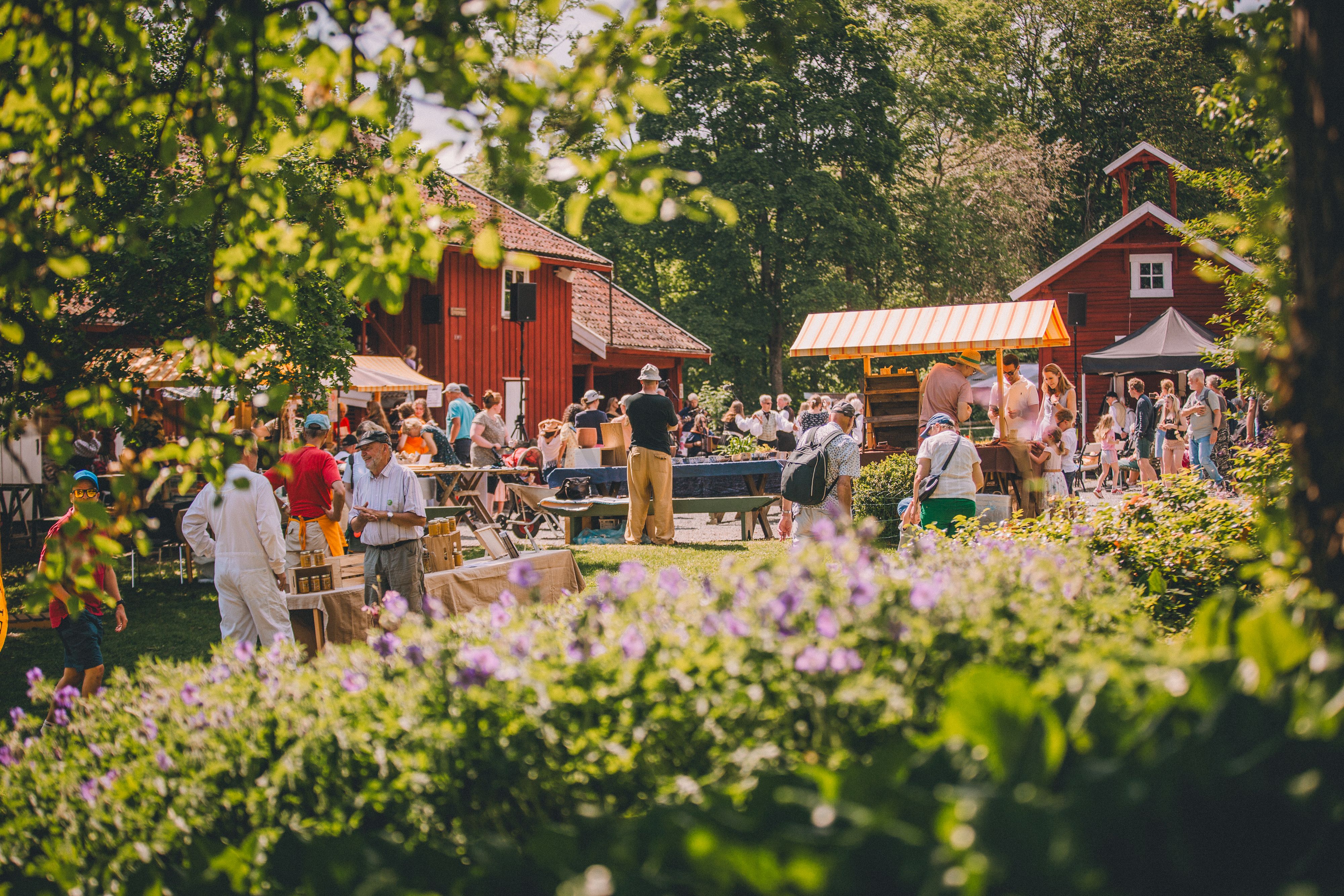 Folk i parken