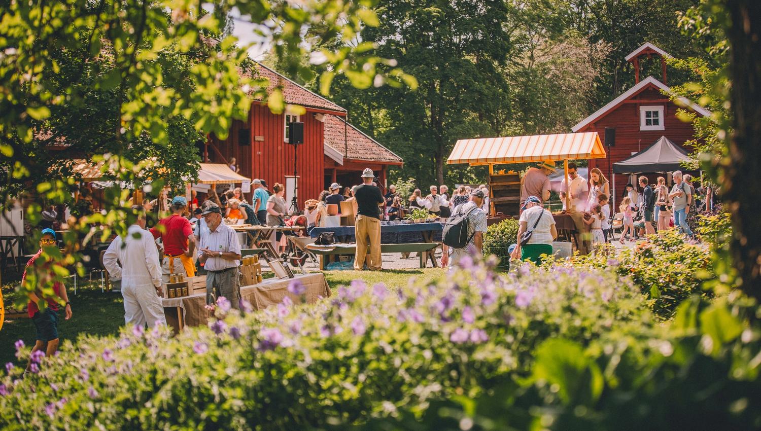 Folk i parken