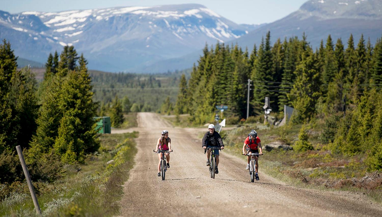 Mjølkevegen ved Furuset