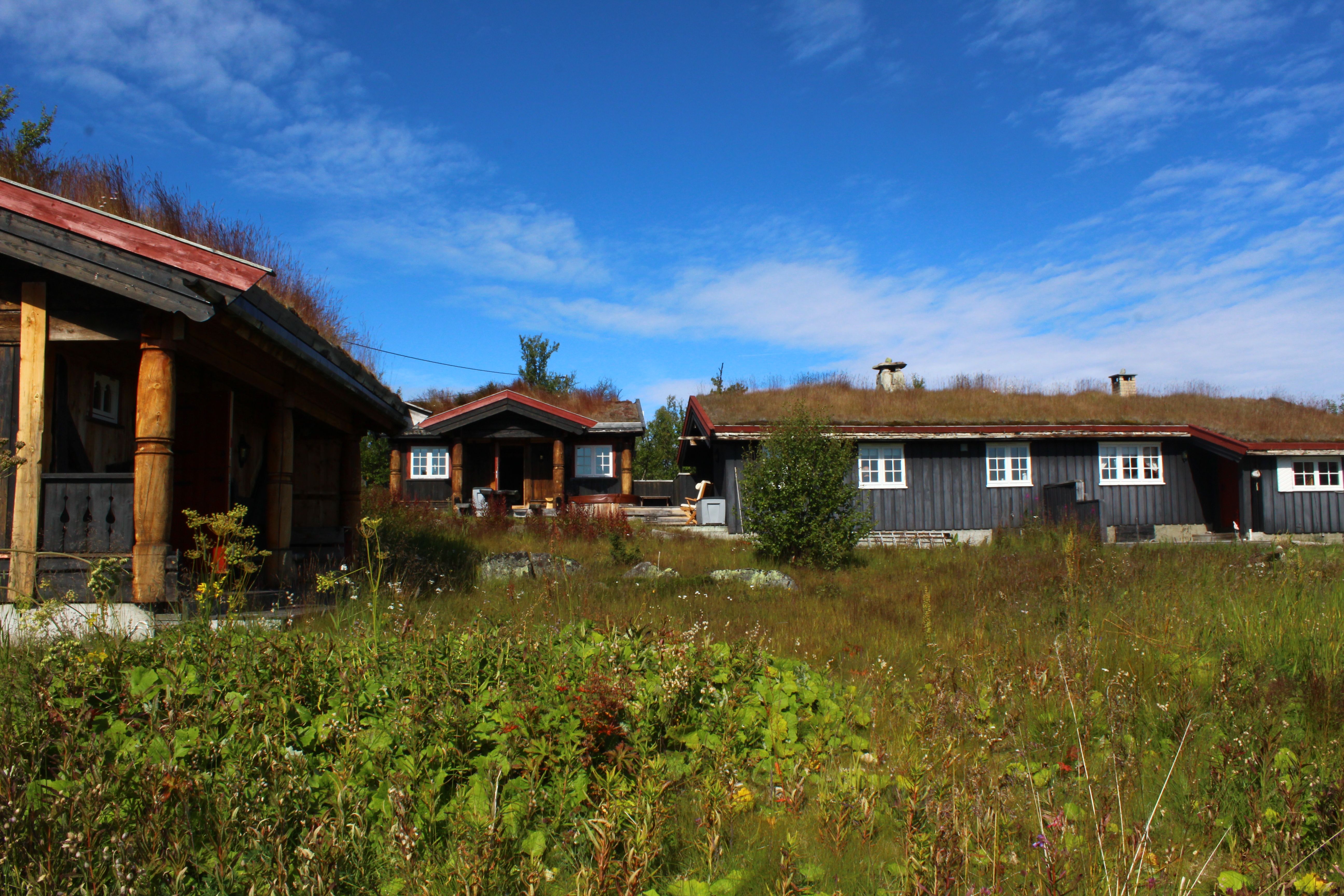 Roahovda