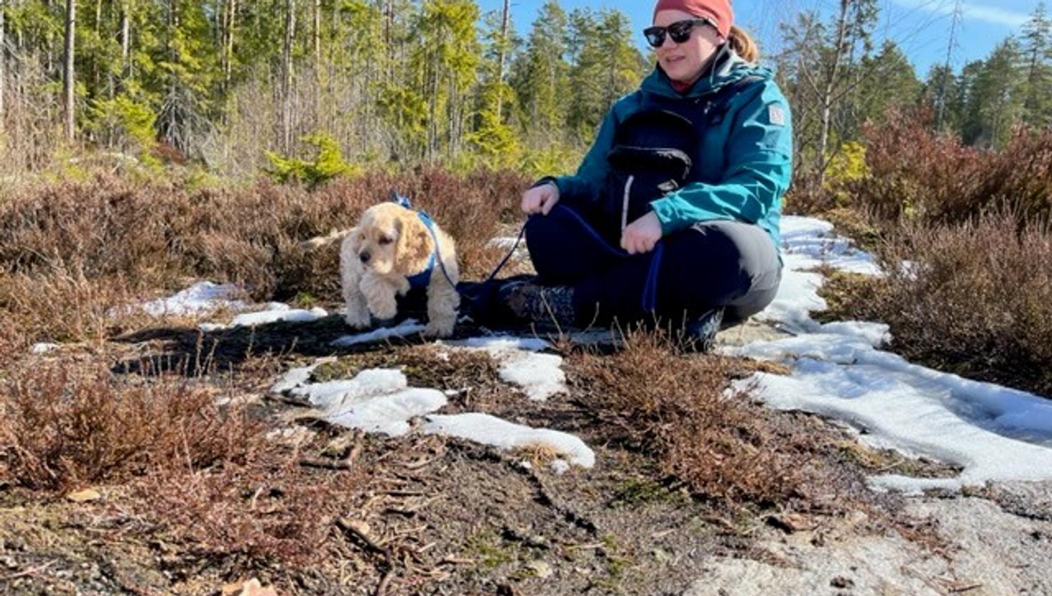Hund og eier tar en pause i vårsola i skogen