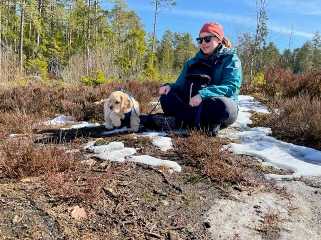 Hund og eier tar en pause i vårsola i skogen