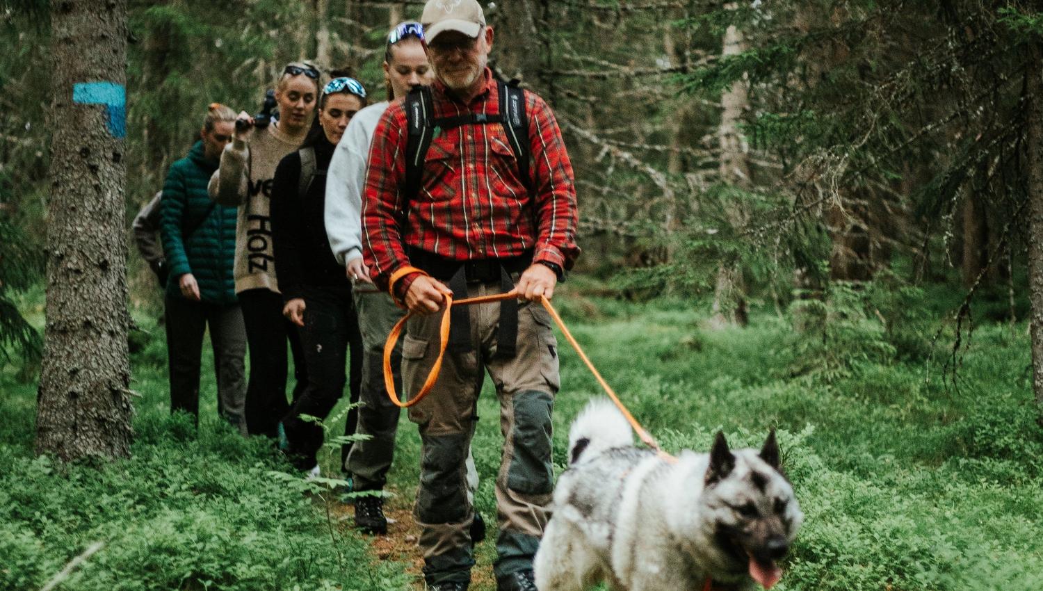 Elgsafari med guide og hund i Finnskogen