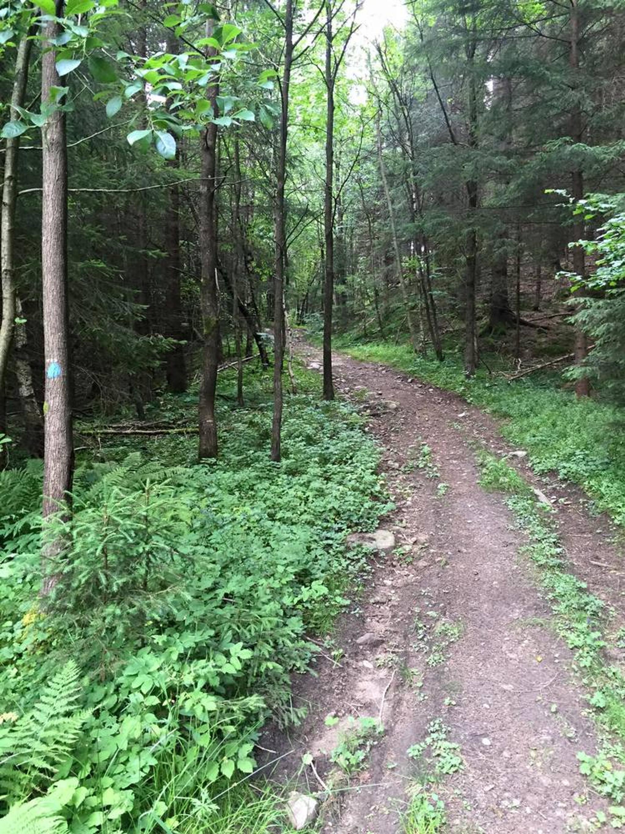 Postveien til Nodeland