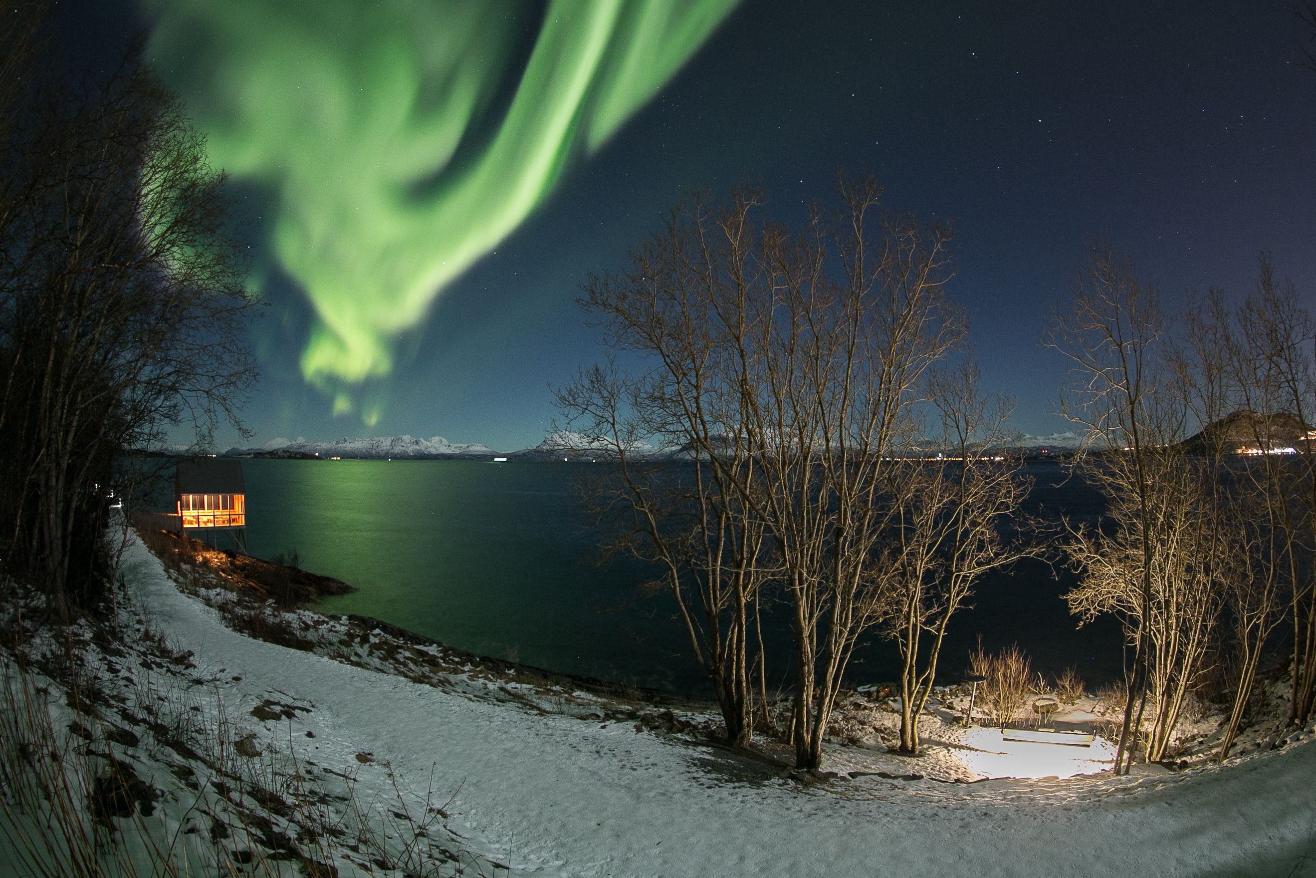 T- 17014 Nordlys. Stien langs sjøen 0018
