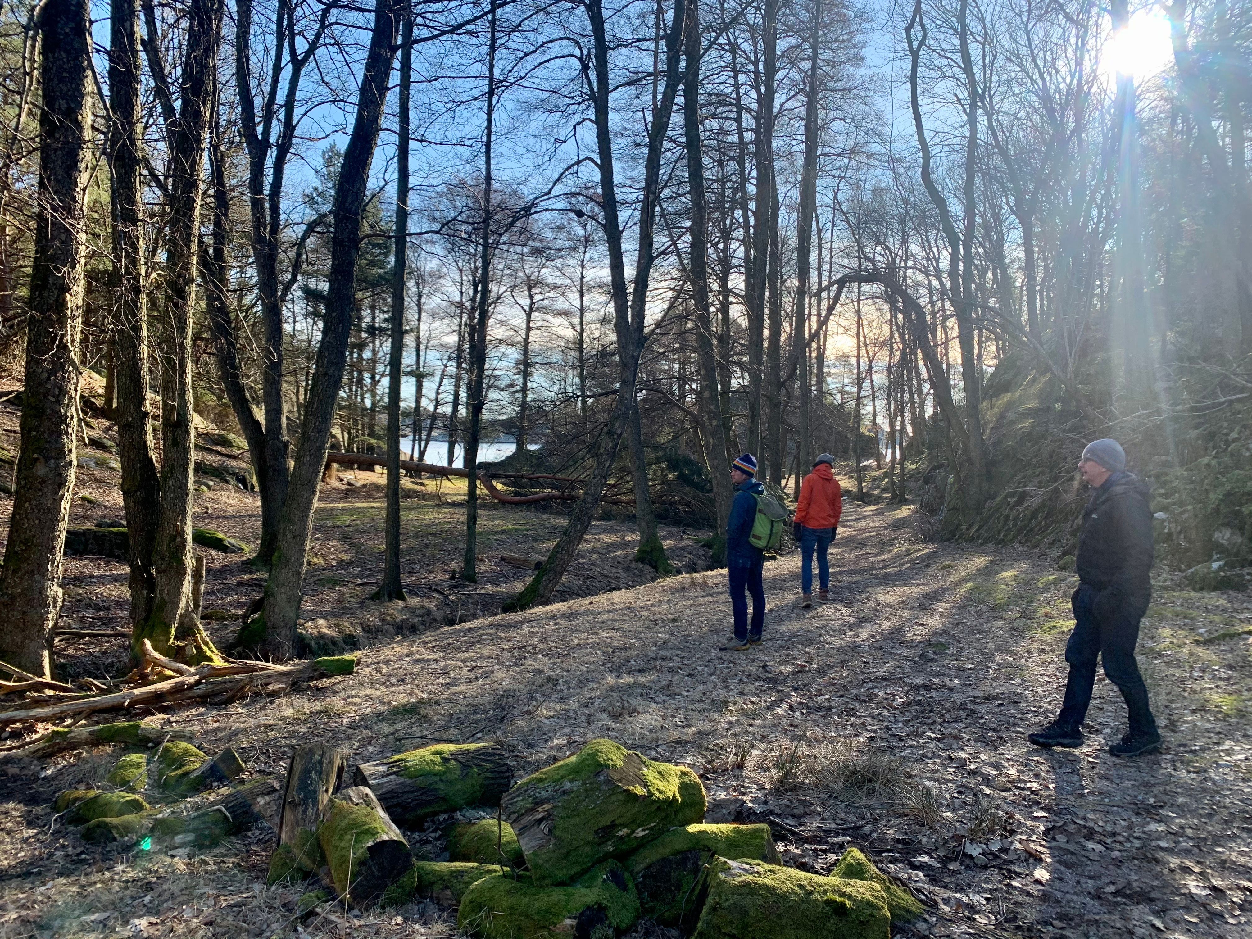 Skauerøya Lillesand skog tidlig vår