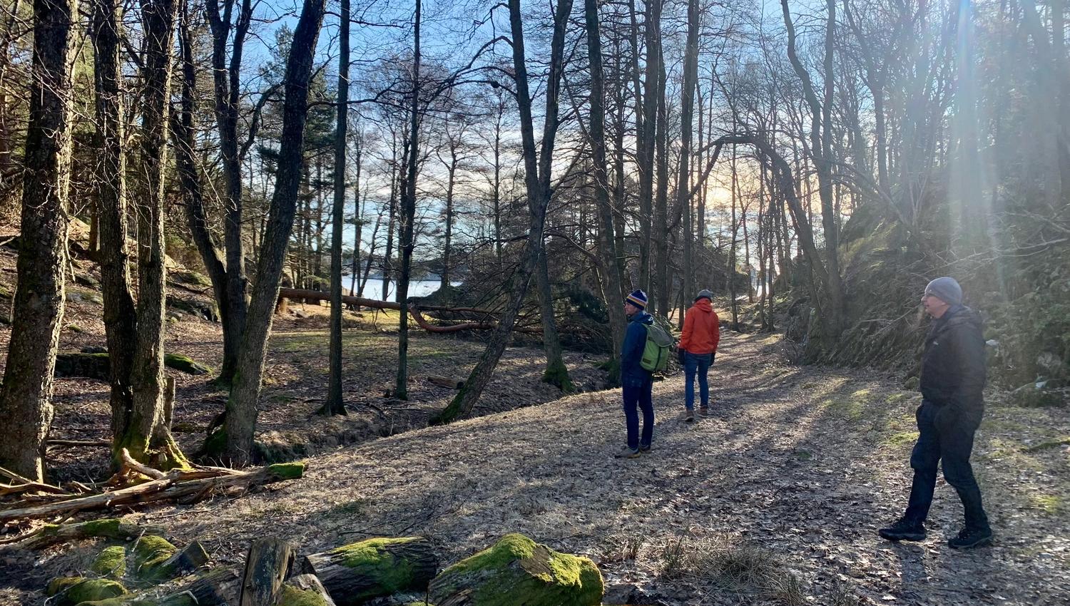 Skauerøya Lillesand skog tidlig vår