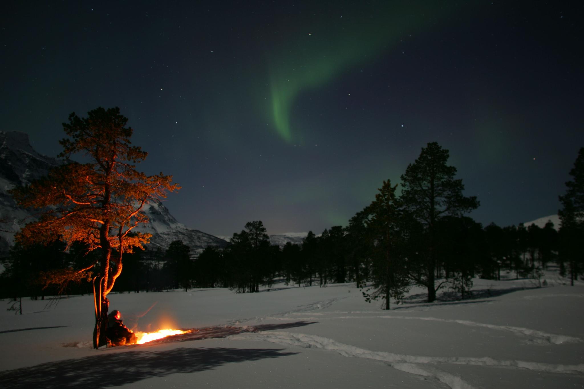 Guided Northern Lights safari from Bodø