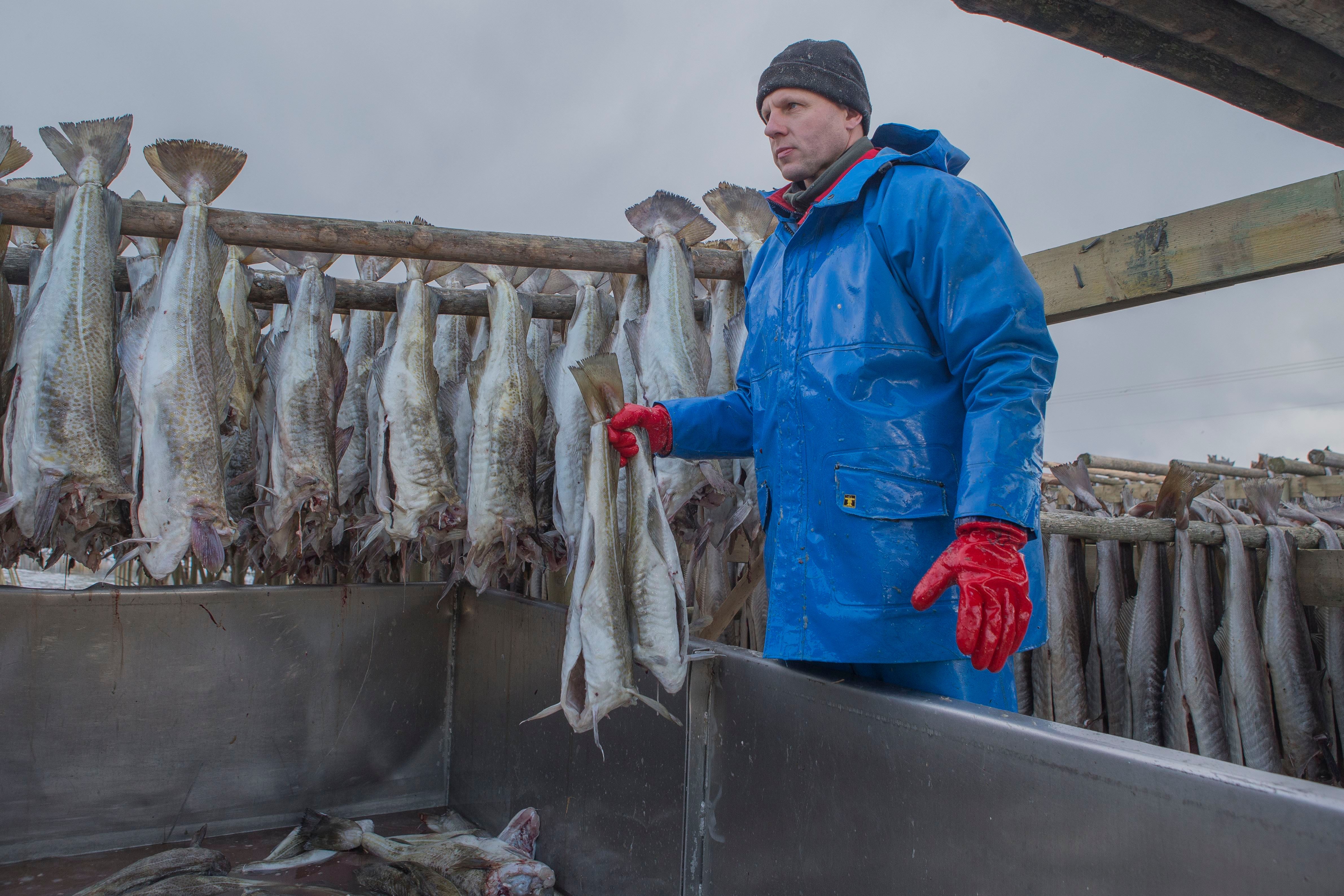 Fisken henges på hjell