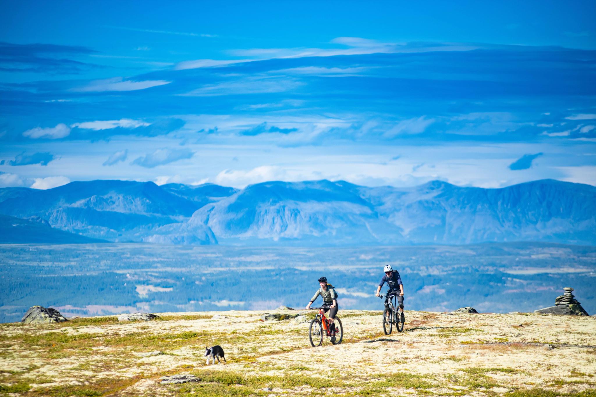 MTB riding in Nesbyen, Hallingdal