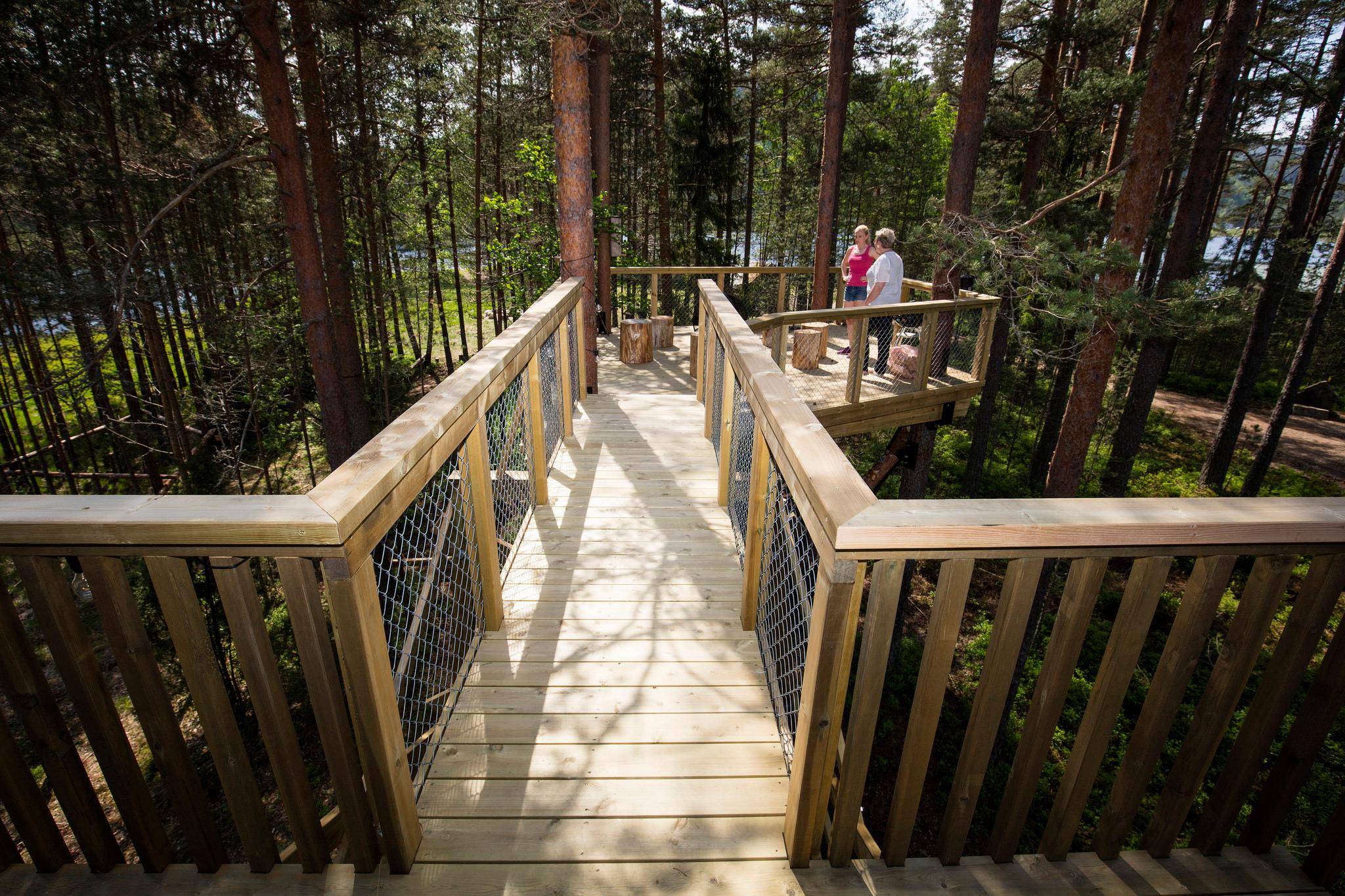 Høyt oppi trærne Trehyttene i Gjerstad