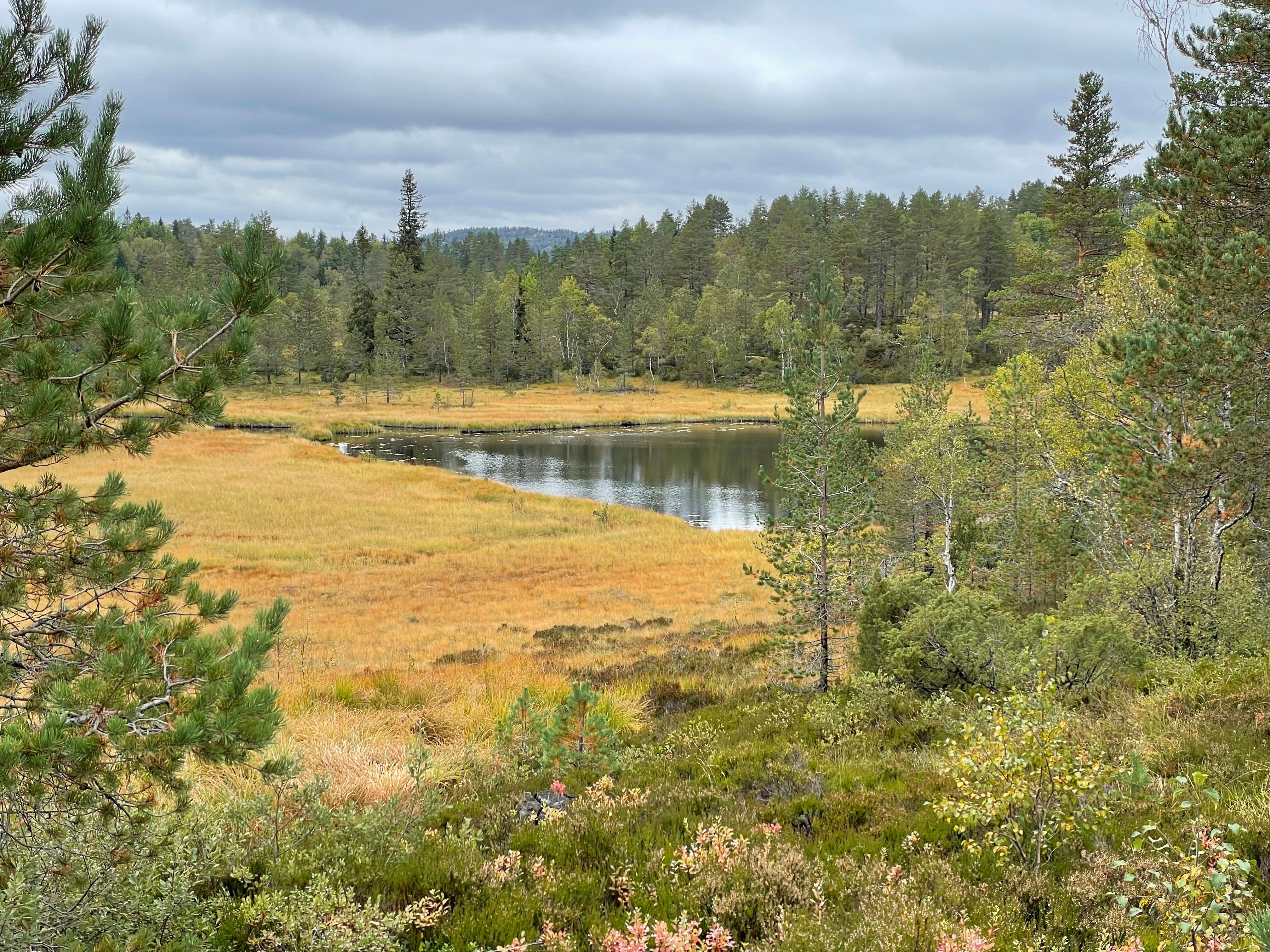 Himmelsyna_7_Foto_Elisabeth_H%C3%B8ibo%C2%A9Visit_S%C3%B8rlandet_