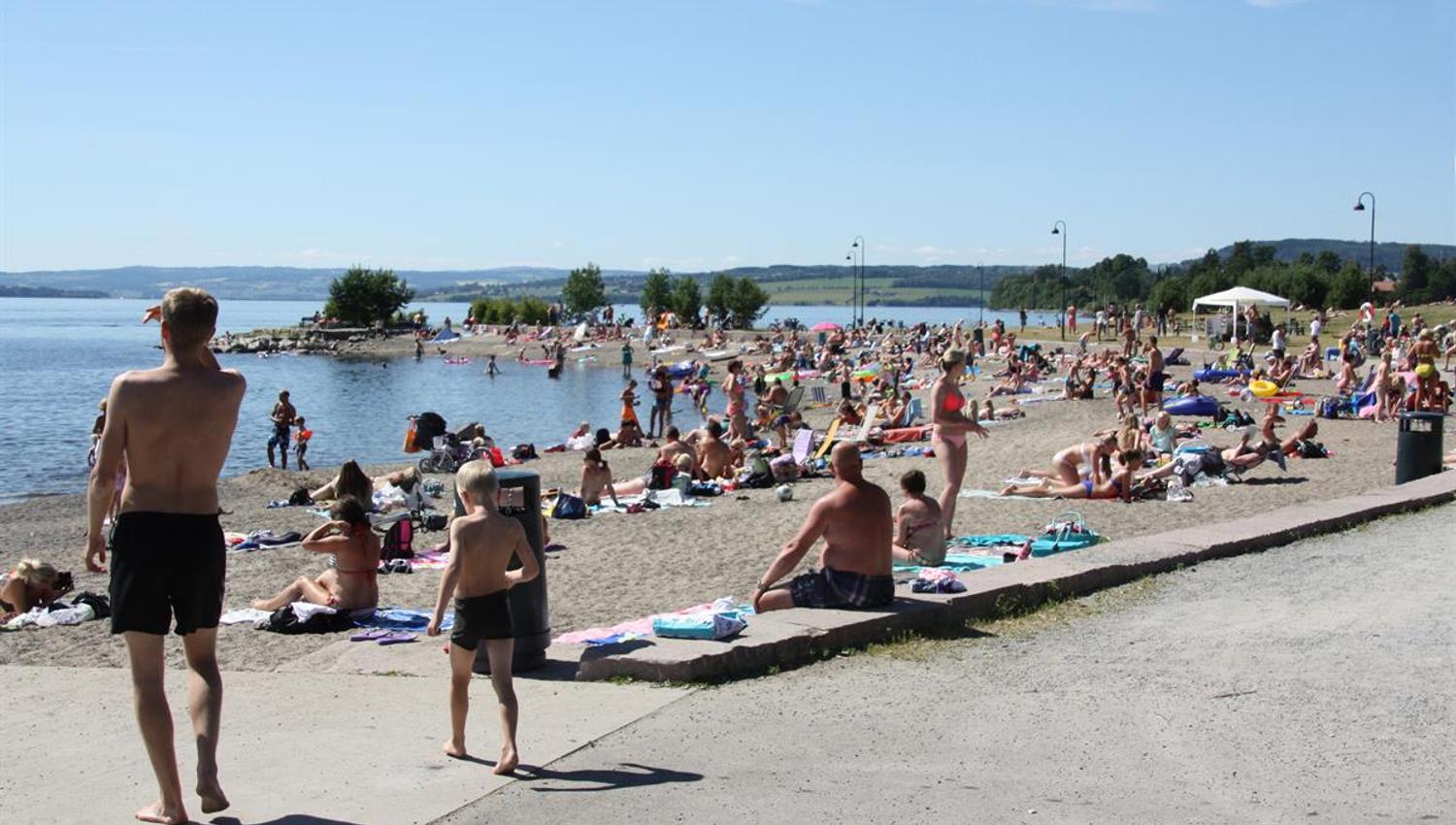 Koigen badestrand med folk som soler seg og bader
