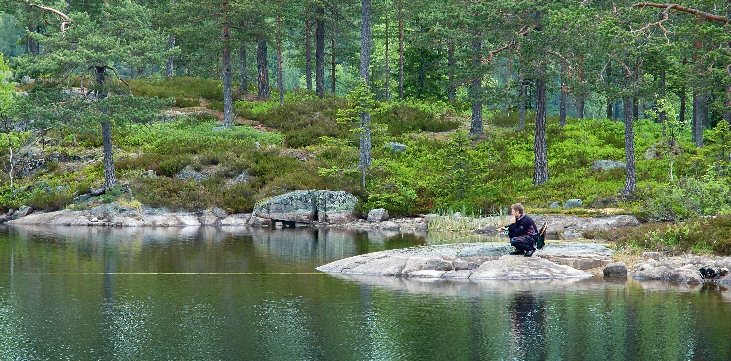 Fluefiske i stille vann
