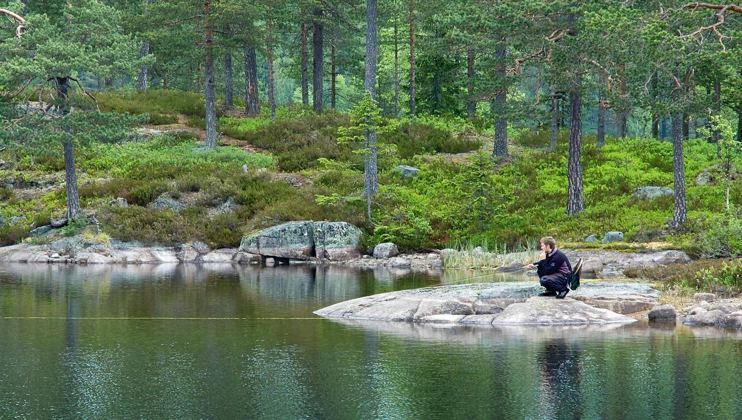 Fluefiske i stille vann