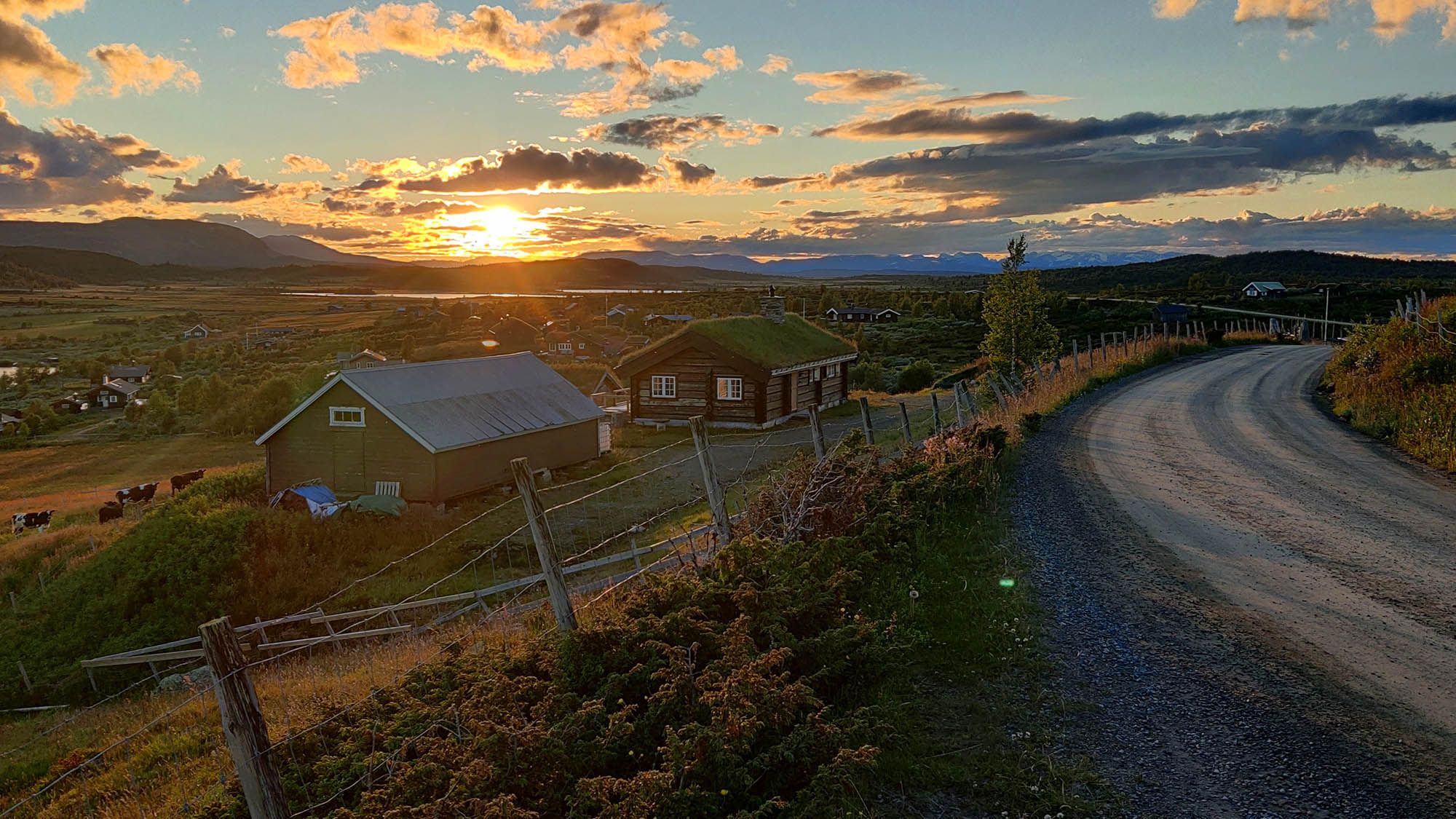 web_IMG_20240709_221547