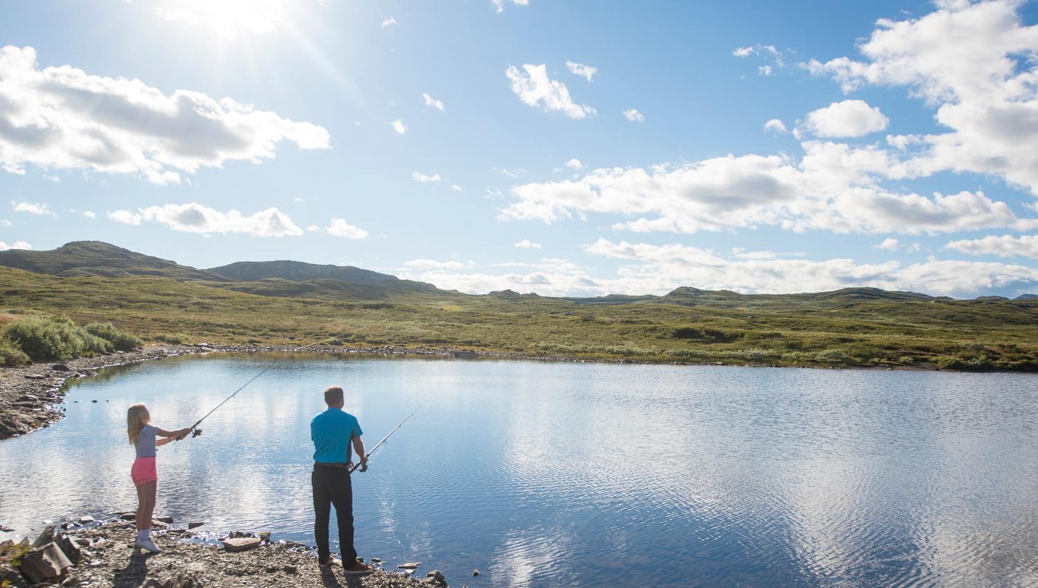 Fishing in Ål