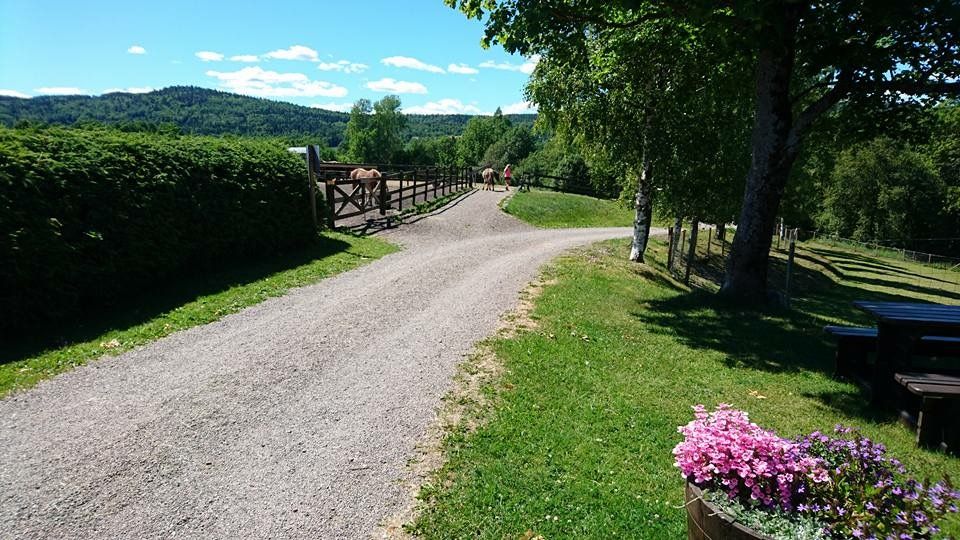 Gravel road on the farm