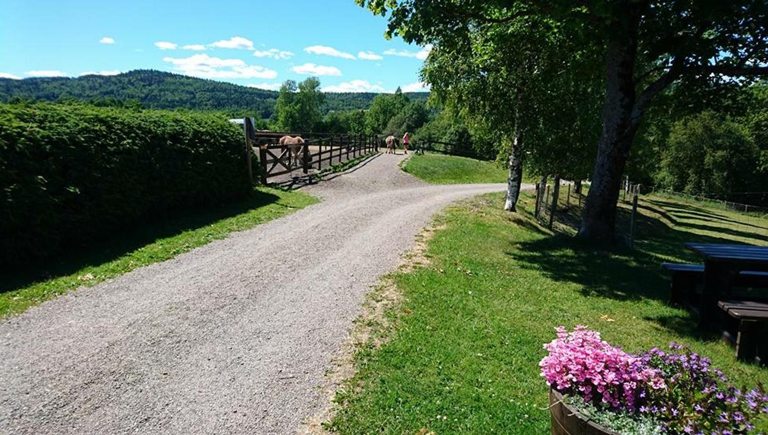 Gravel road on the farm