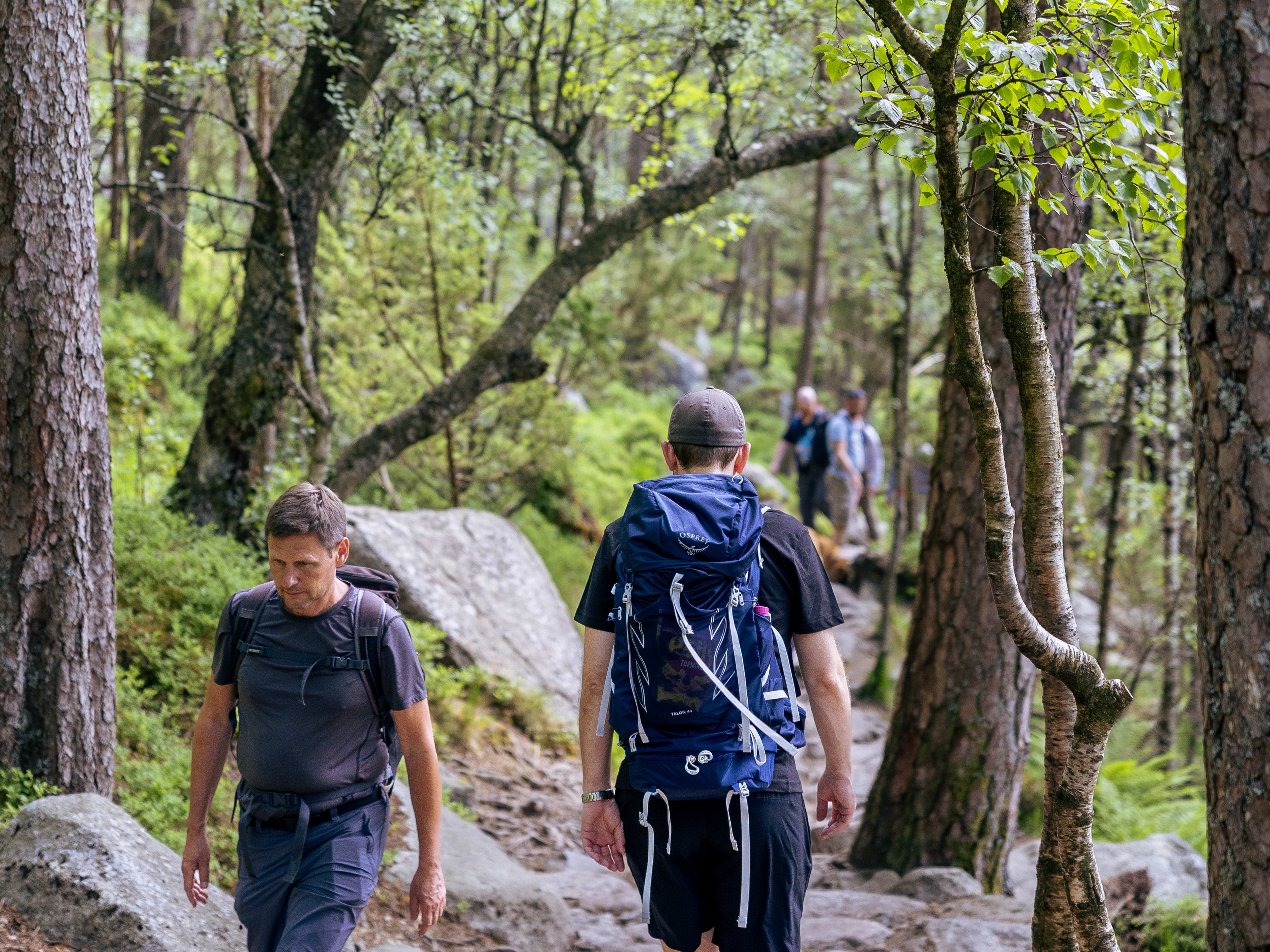 people hiking to preikestolen bus to preikestolen