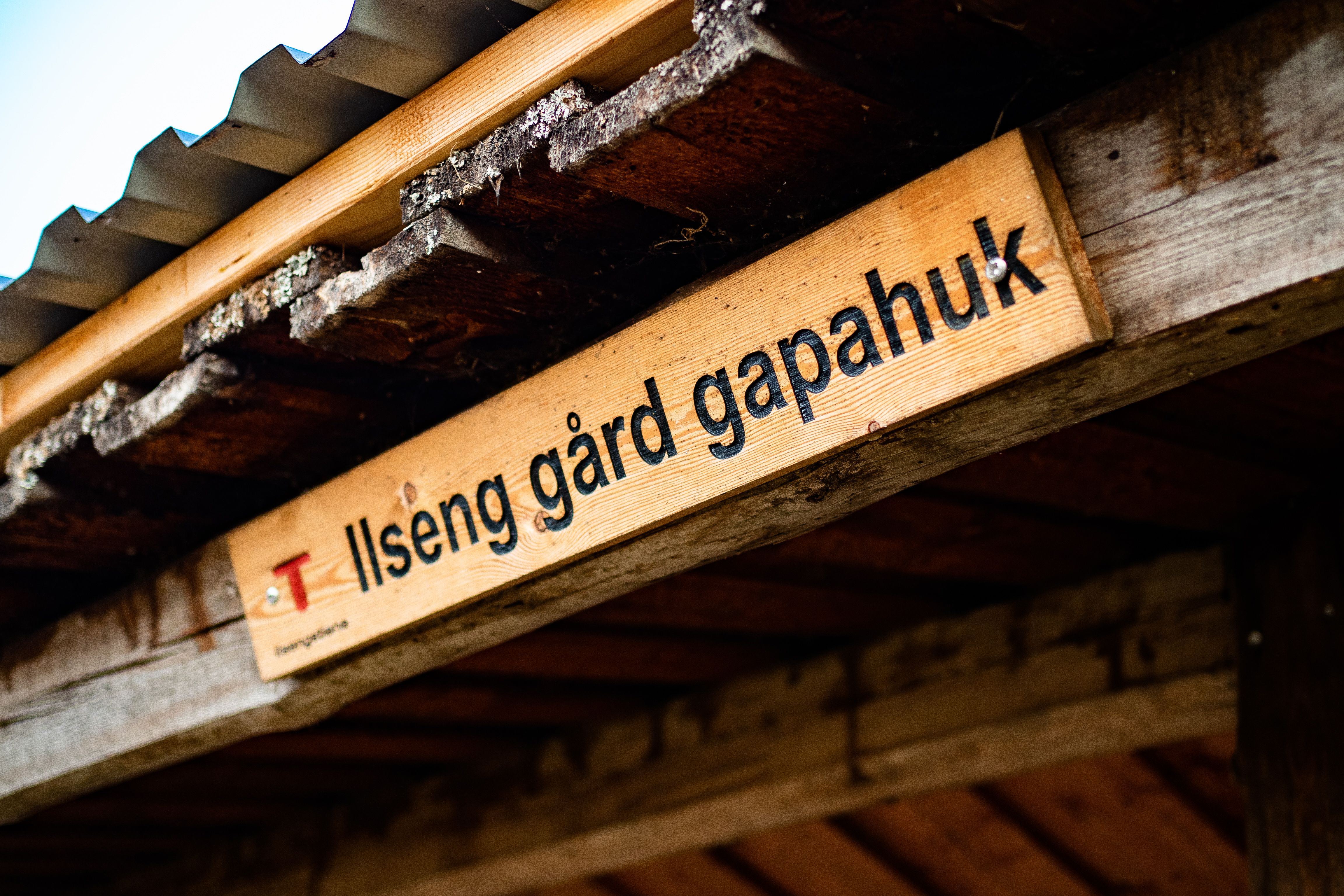 HRU-Ilsengstiene-002