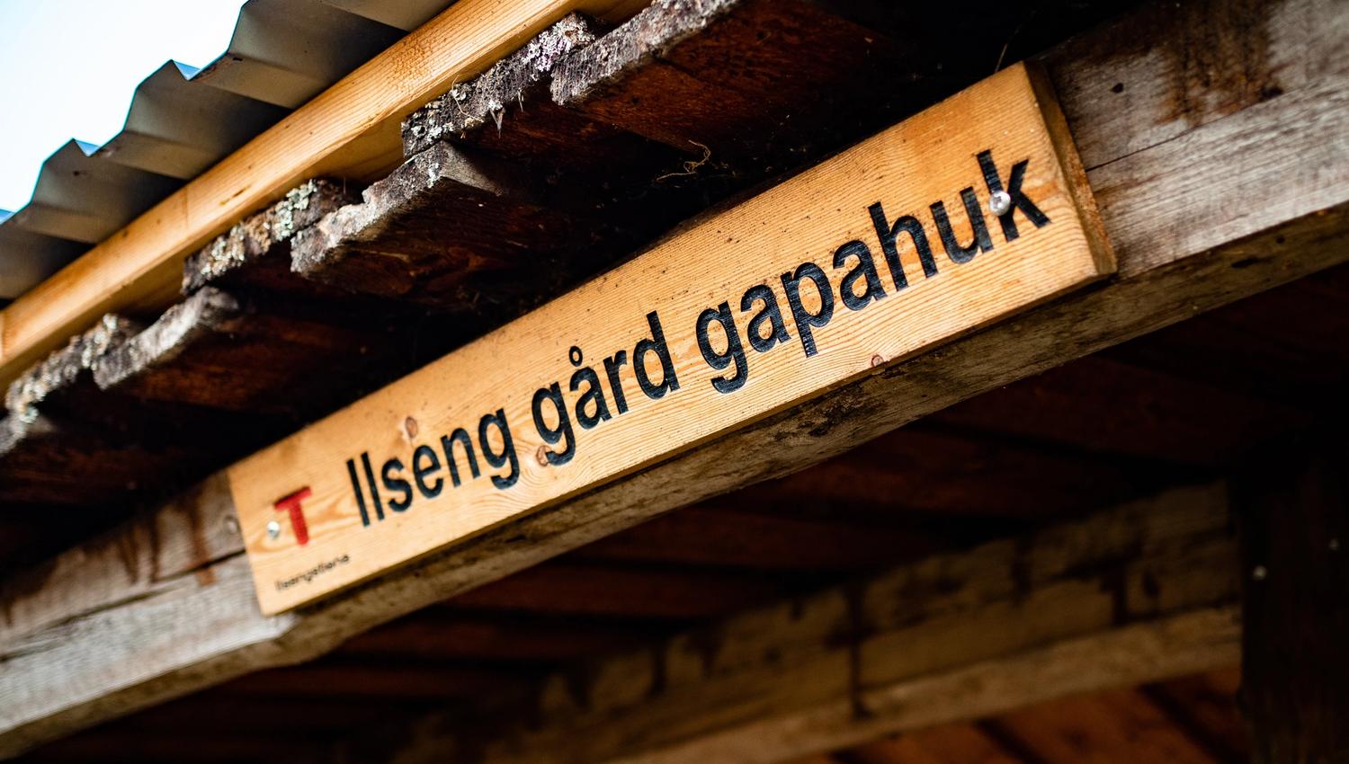 HRU-Ilsengstiene-002