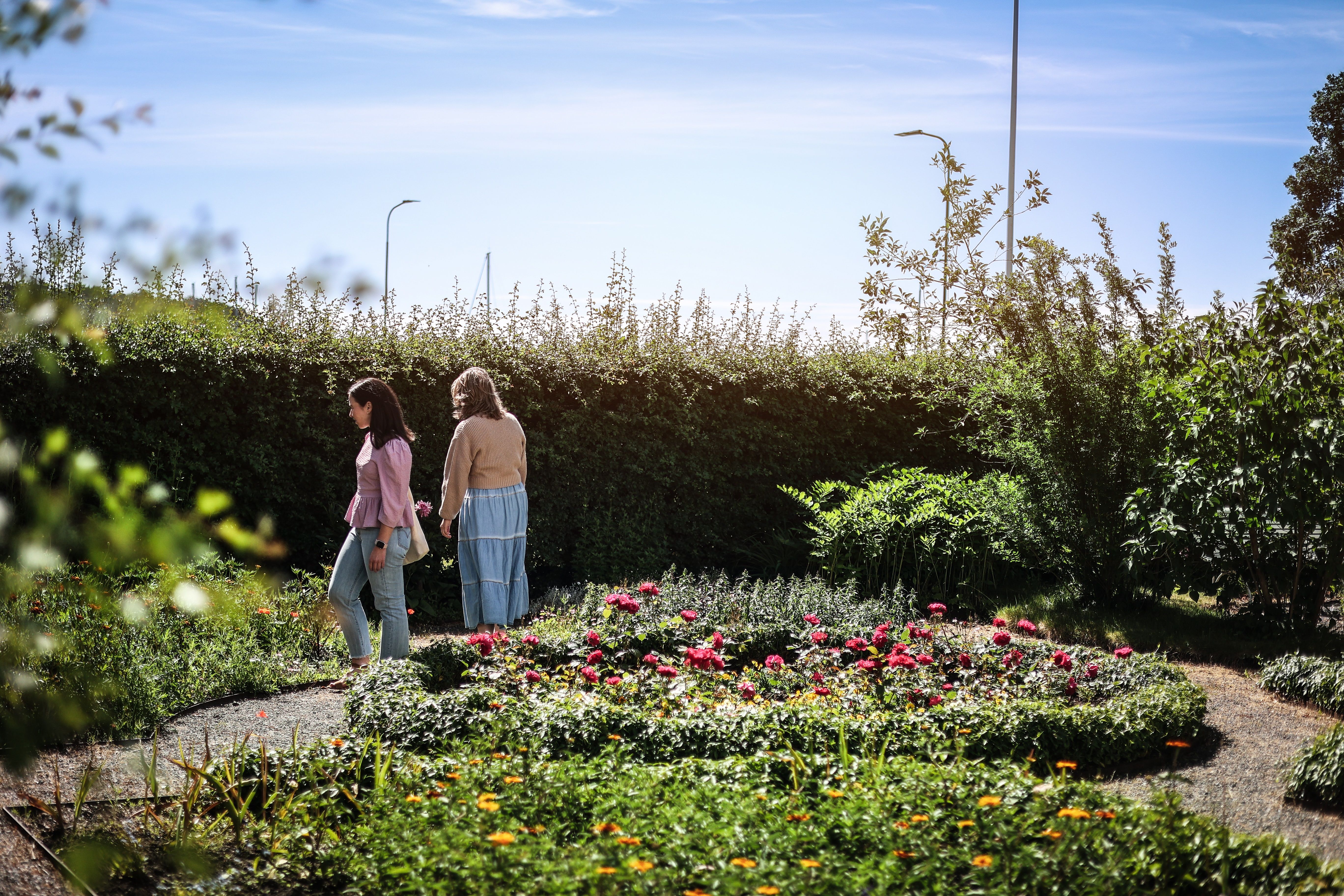 Et par ute og tusler i hagen med mye grønt og blomster