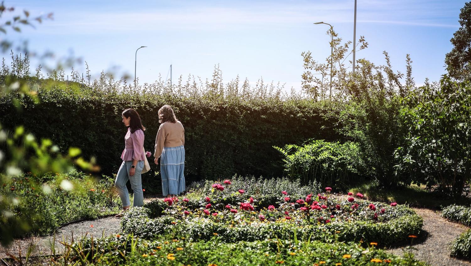 Et par ute og tusler i hagen med mye grønt og blomster