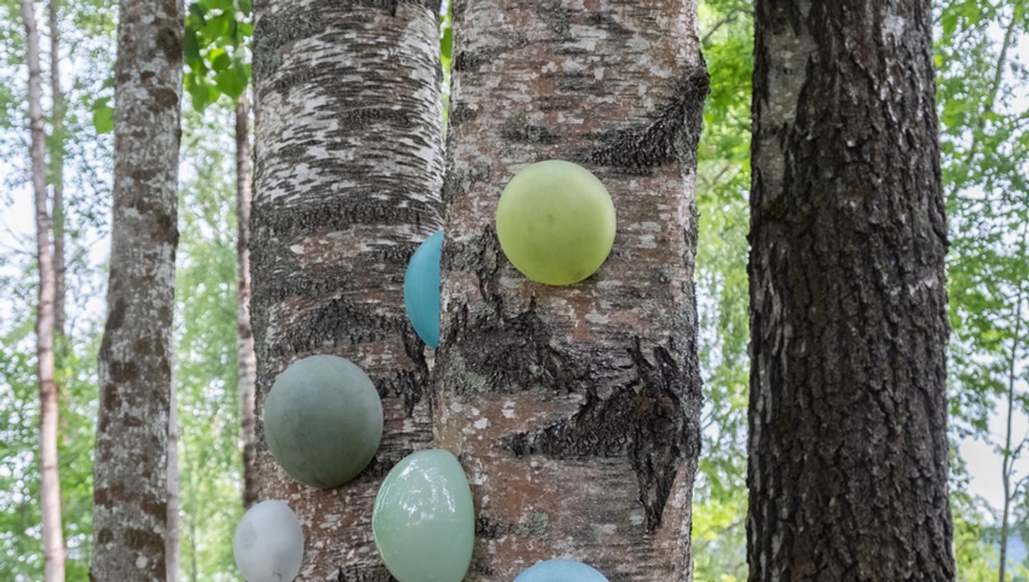 glass ballonger i fler farger i et tre