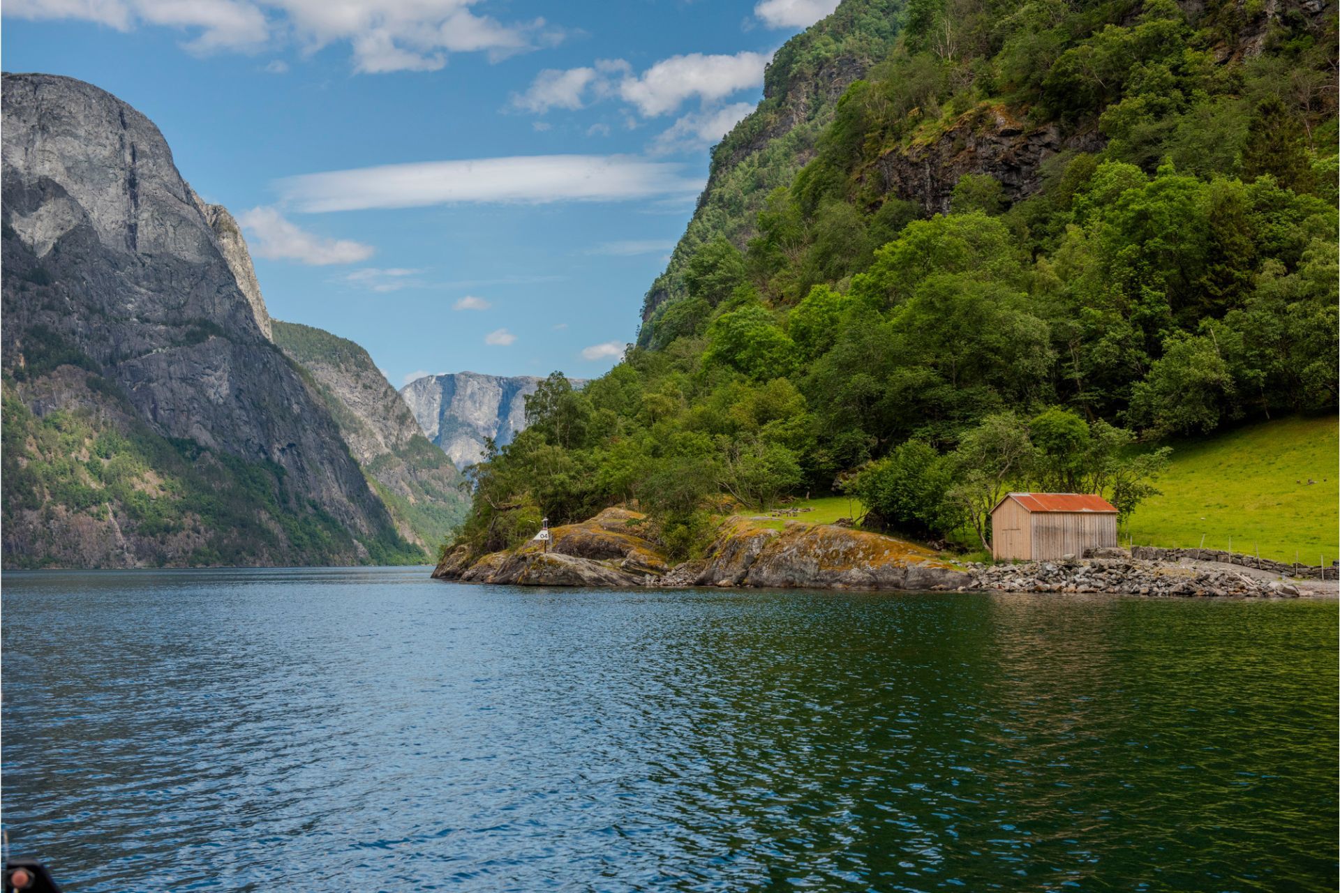 FjordSafari Gudvangen Taste