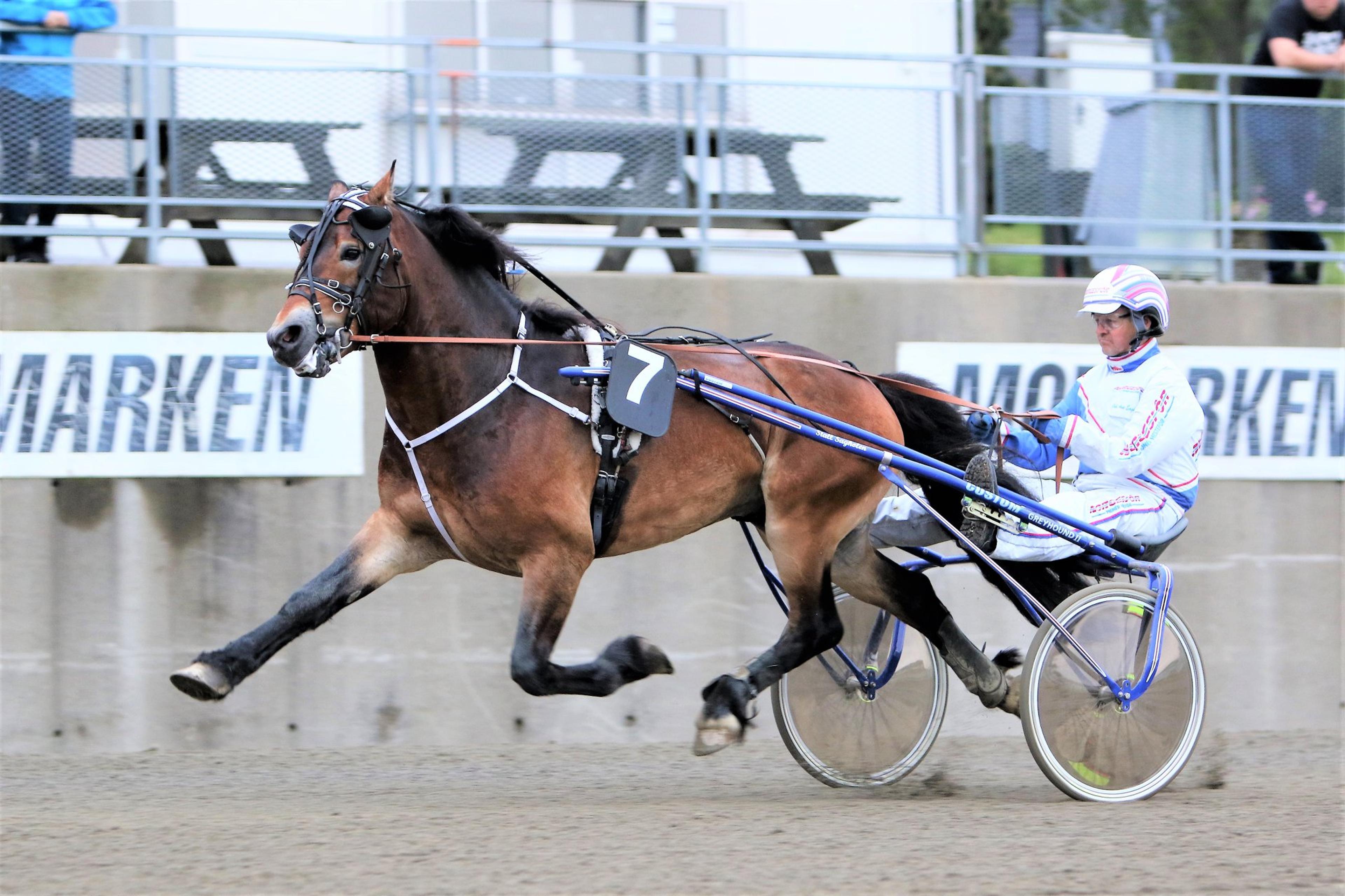 Travløp Momarken Travbana