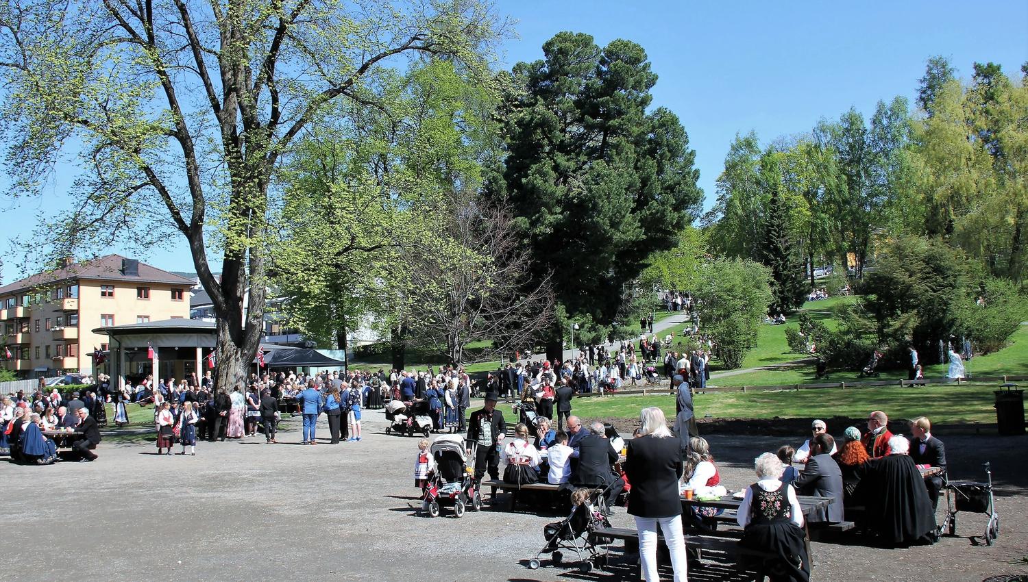 Mange mennesker samlet i en park på en solrik dag, med store trær, benker, barnevogner og blå himmel..