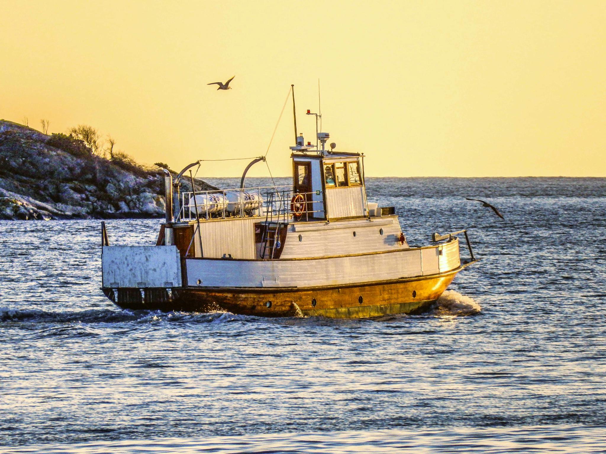 Øisangfergen Risør