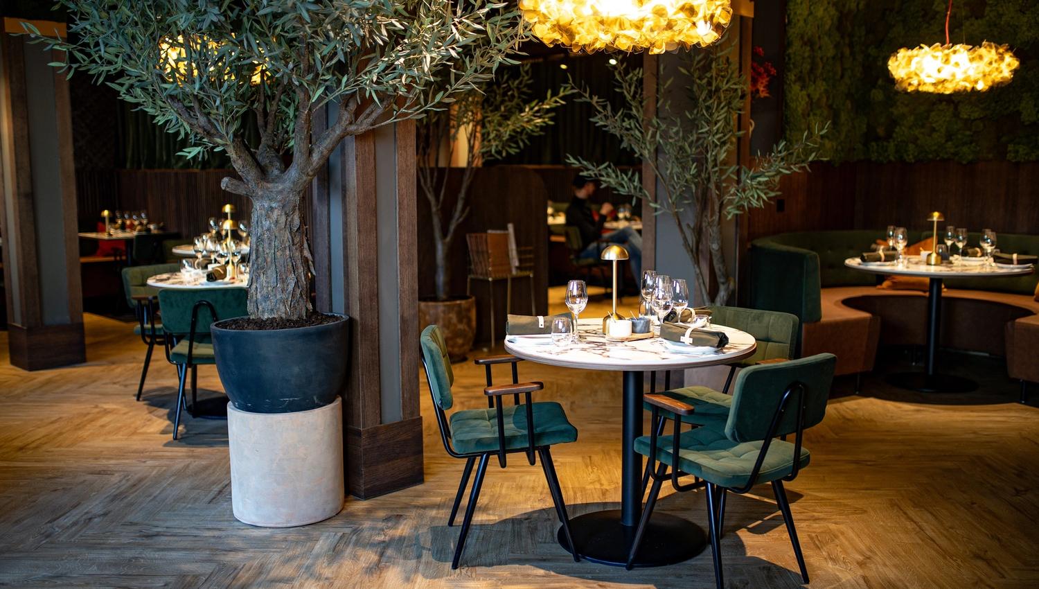 Basso Social Bergen