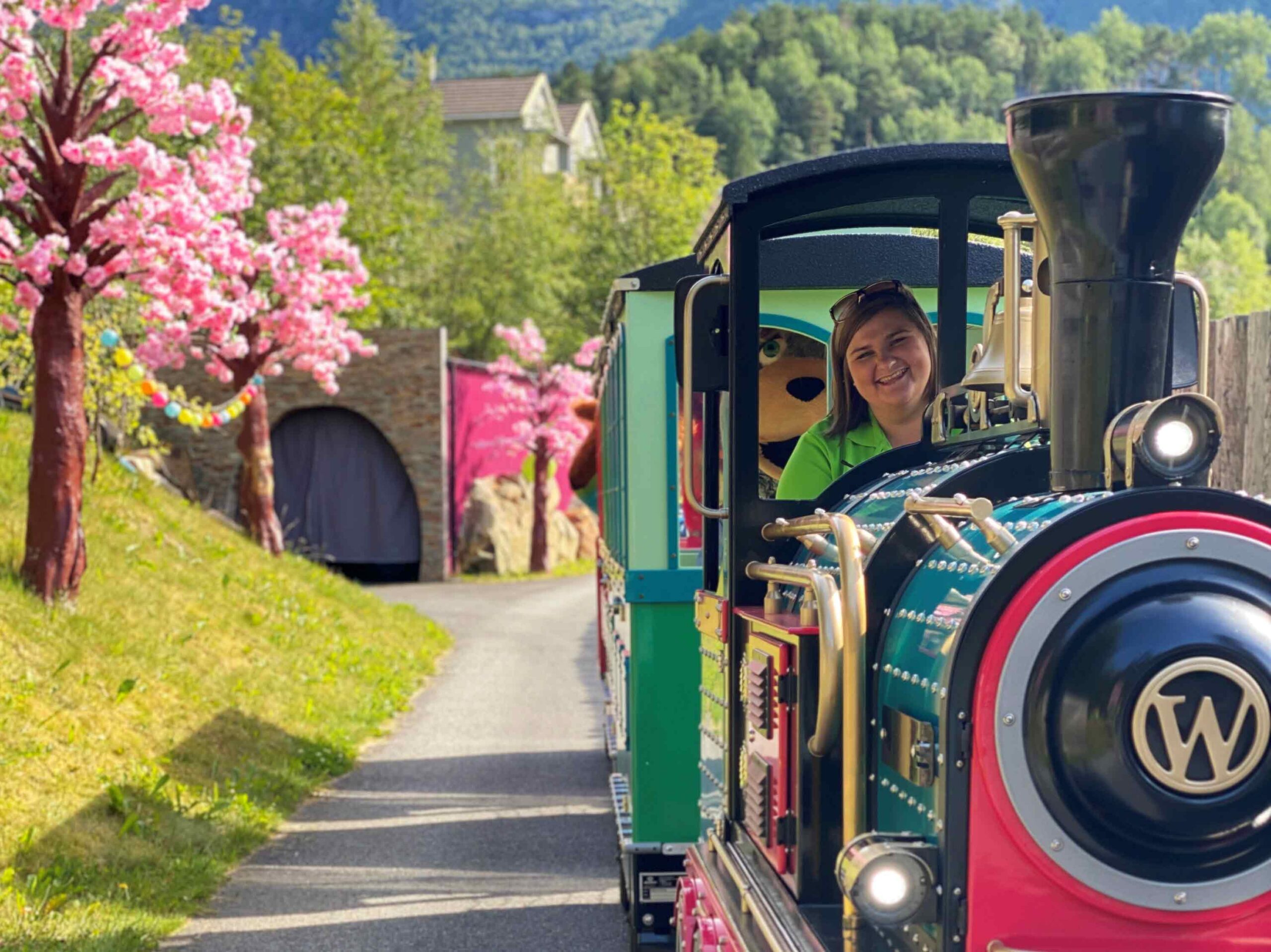 The colourful Mikkel Train with a smiling driver rolls through the blooming Mikkelparken in Kinsarvik.